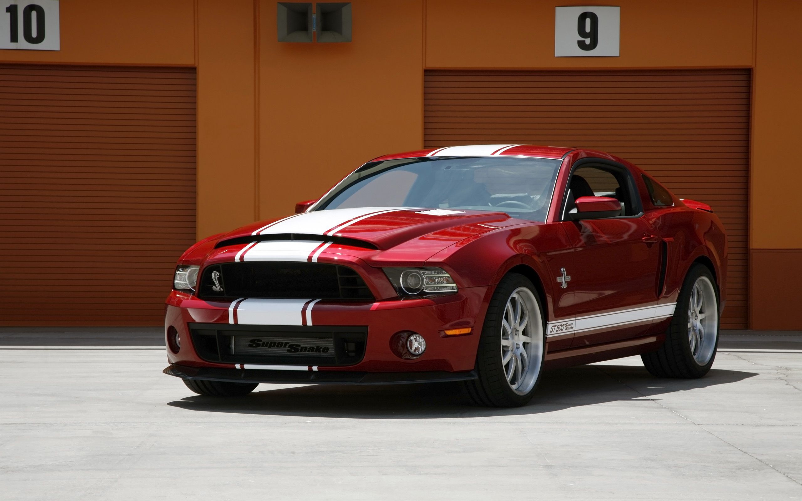 Ford Mustang Shelby GT500 Super Snake. HD Car Wallpaper. Shelby gt500, Ford mustang shelby cobra, Ford mustang shelby