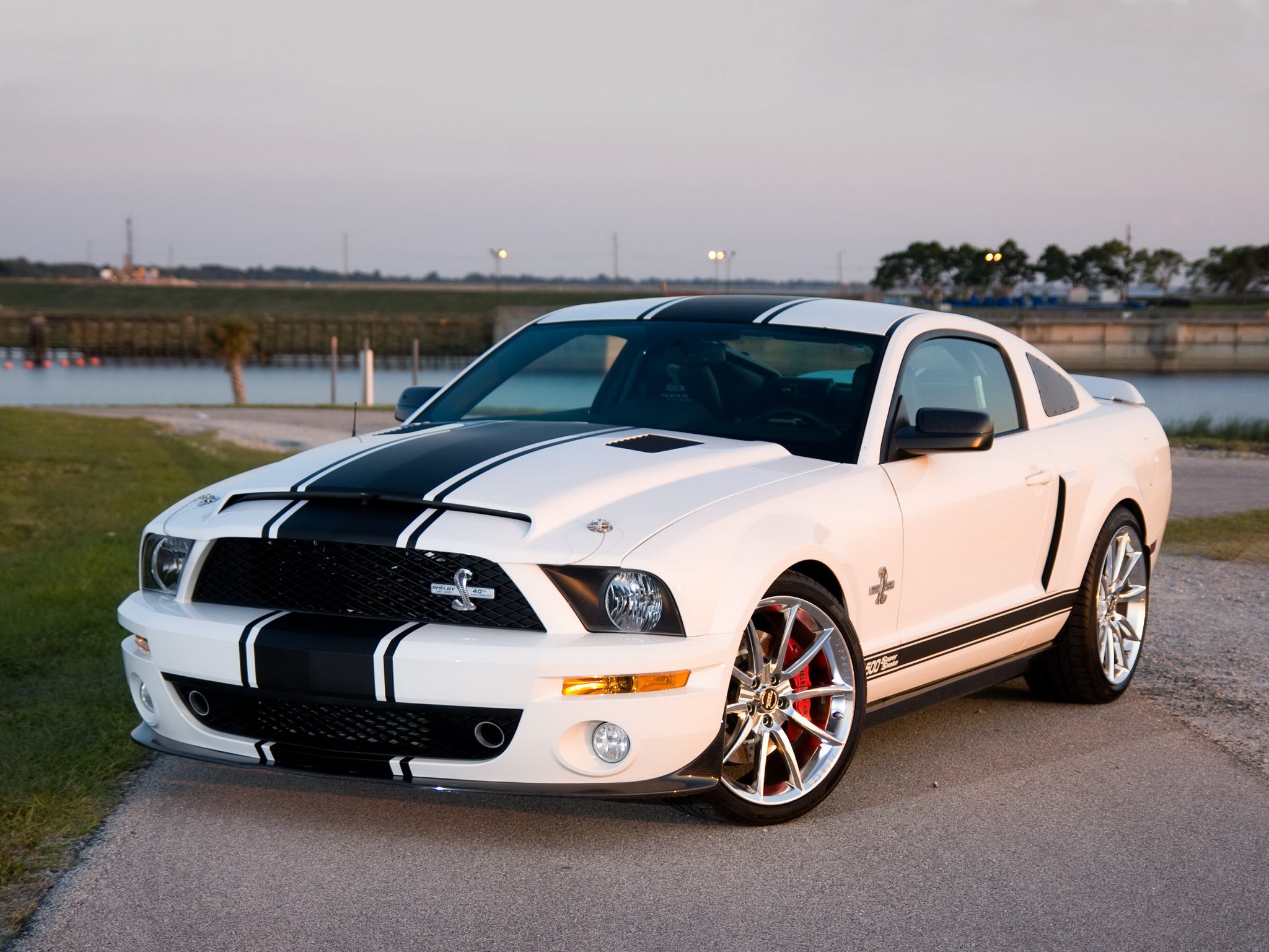 Shelby GT500 Super Snake Wallpaper