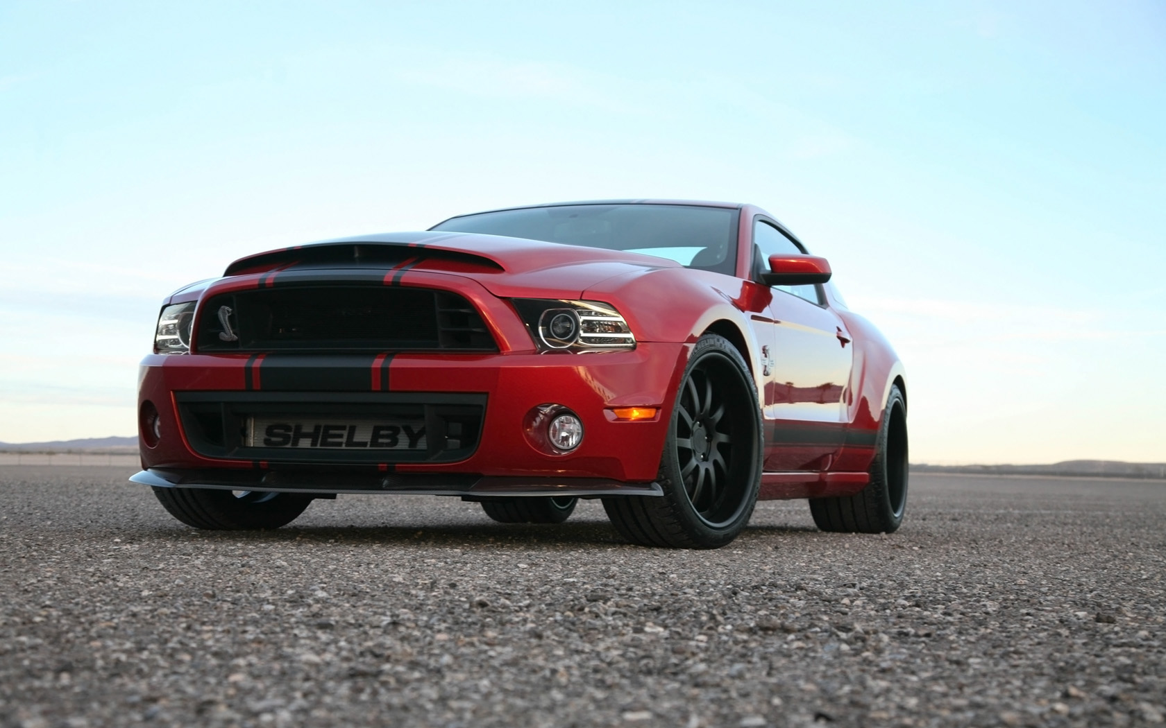 2013, Shelby, Gt500, Super, Snake, Muscle, Supercar, Ford, Mustang Wallpaper HD / Desktop and Mobile Background