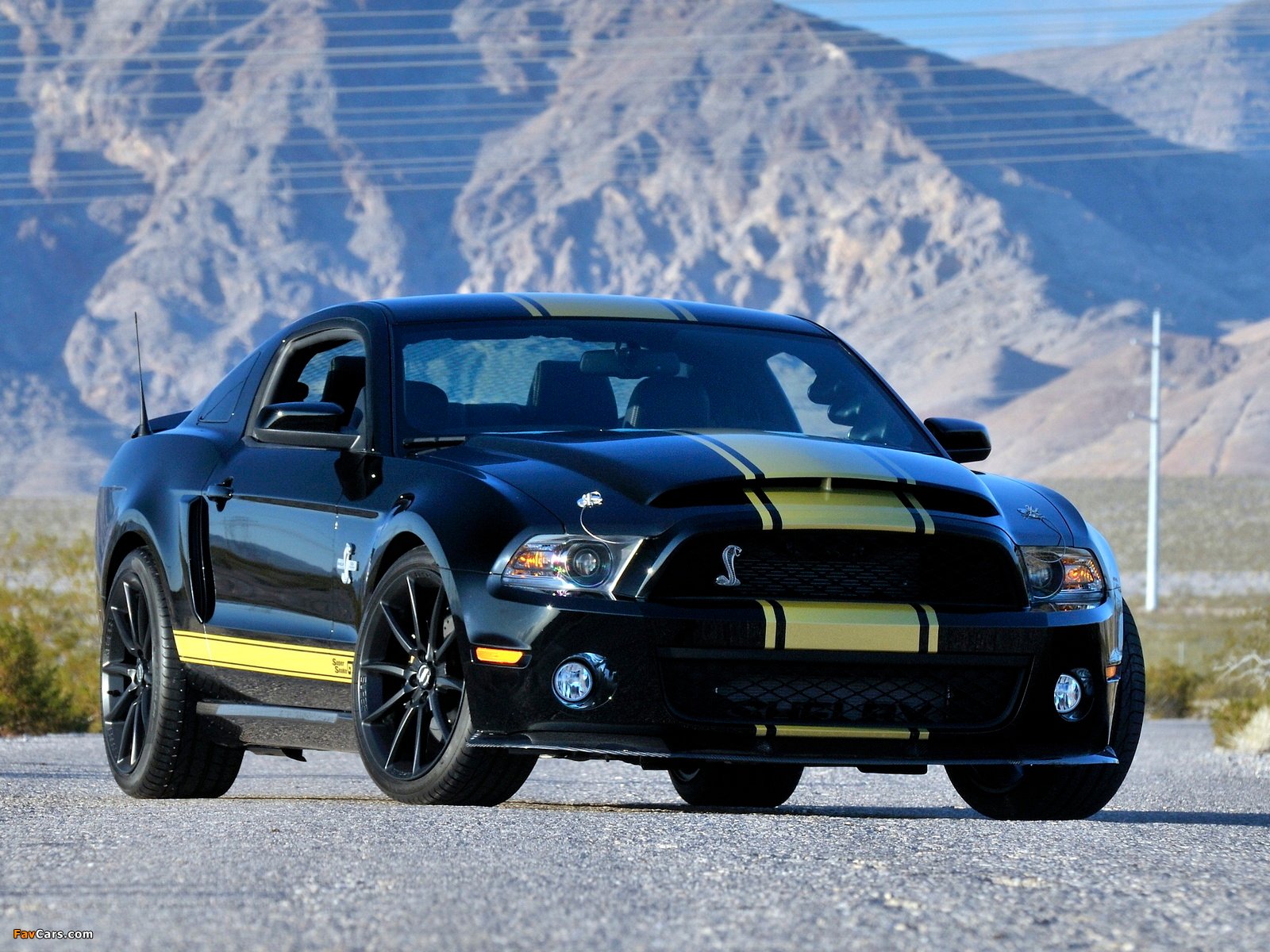 Super Snake Wallpapers - Wallpaper Cave