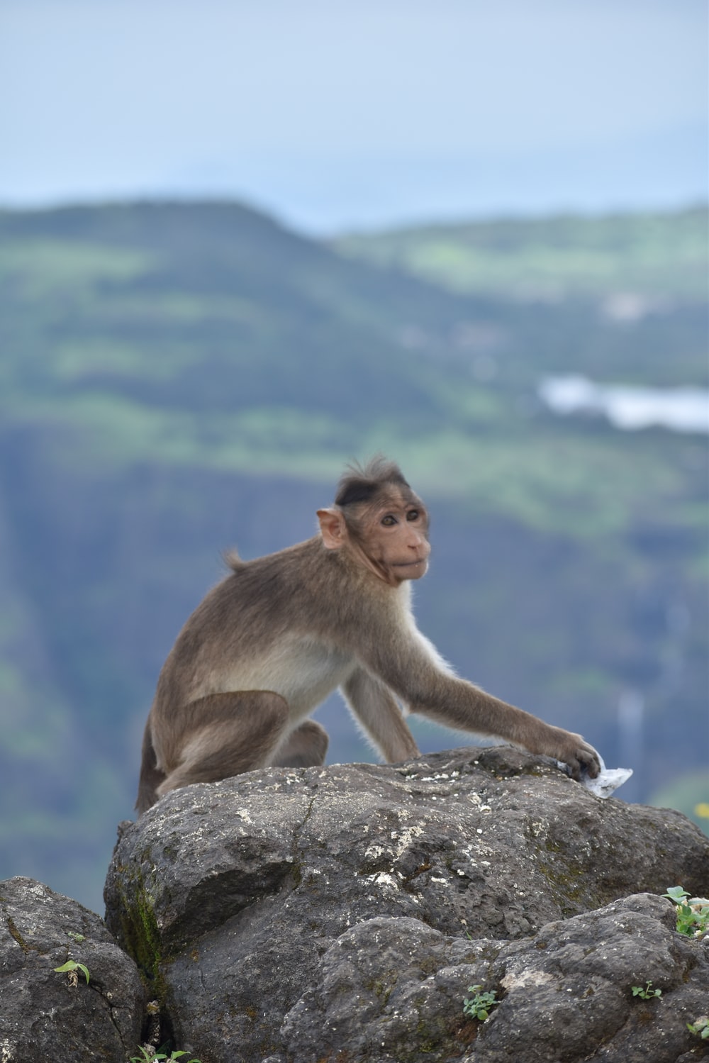 Lonavala, India Picture. Download Free Image