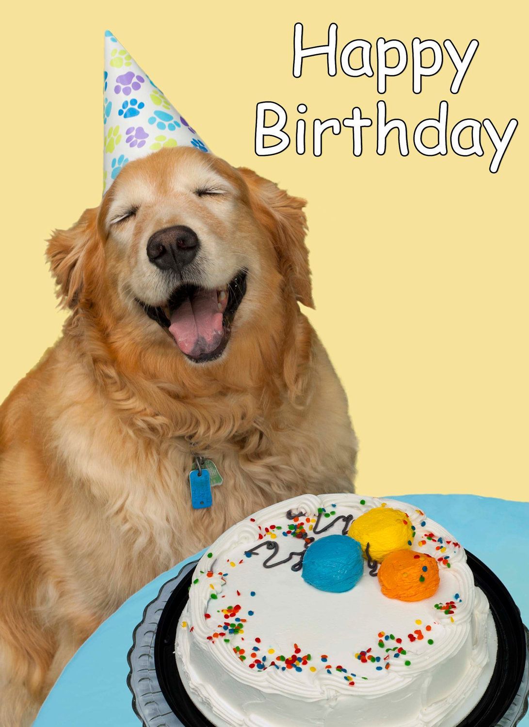 Happy Birthday Dog Wallpaper Free Happy Birthday Dog Background