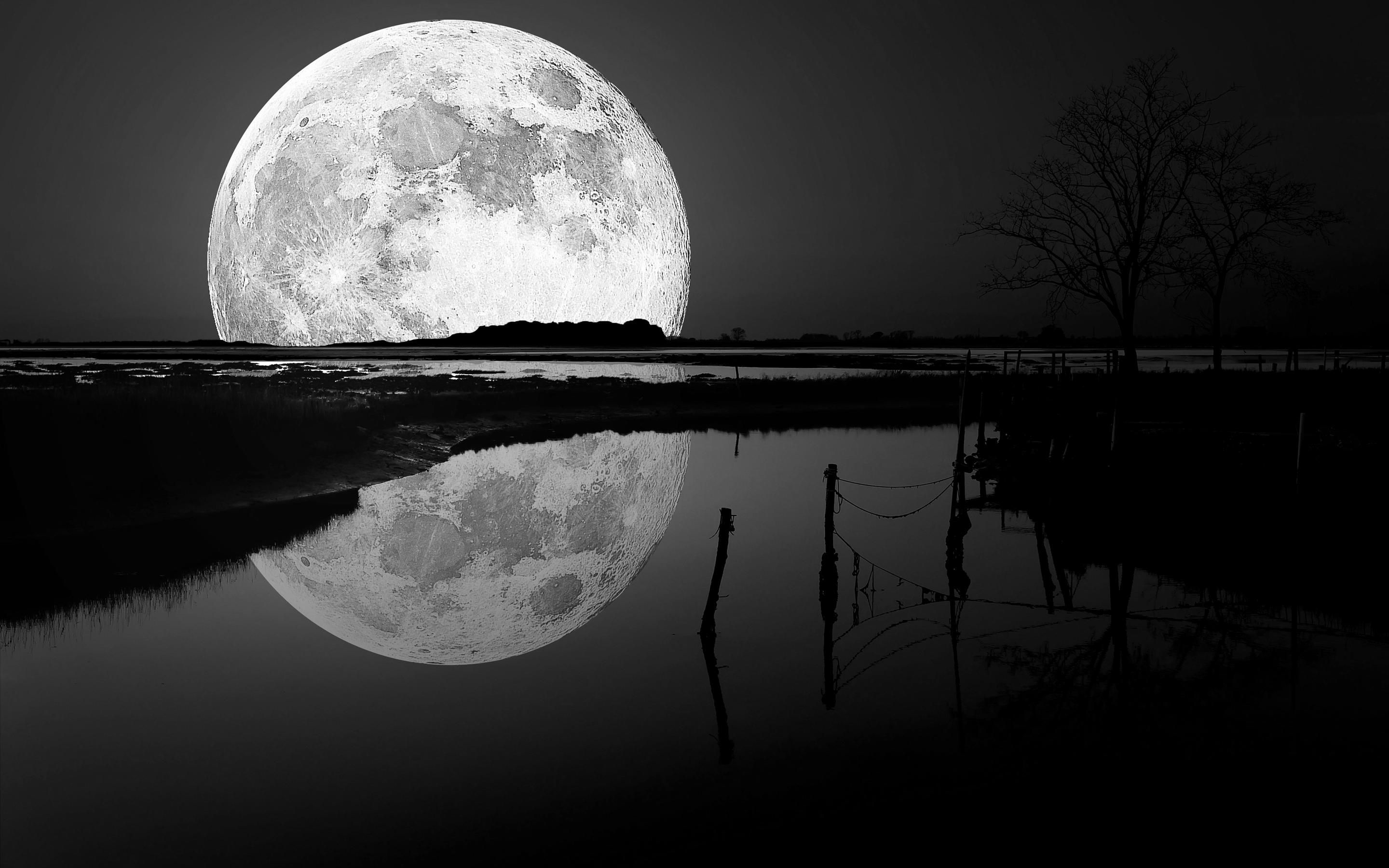 black and white moon wallpaper