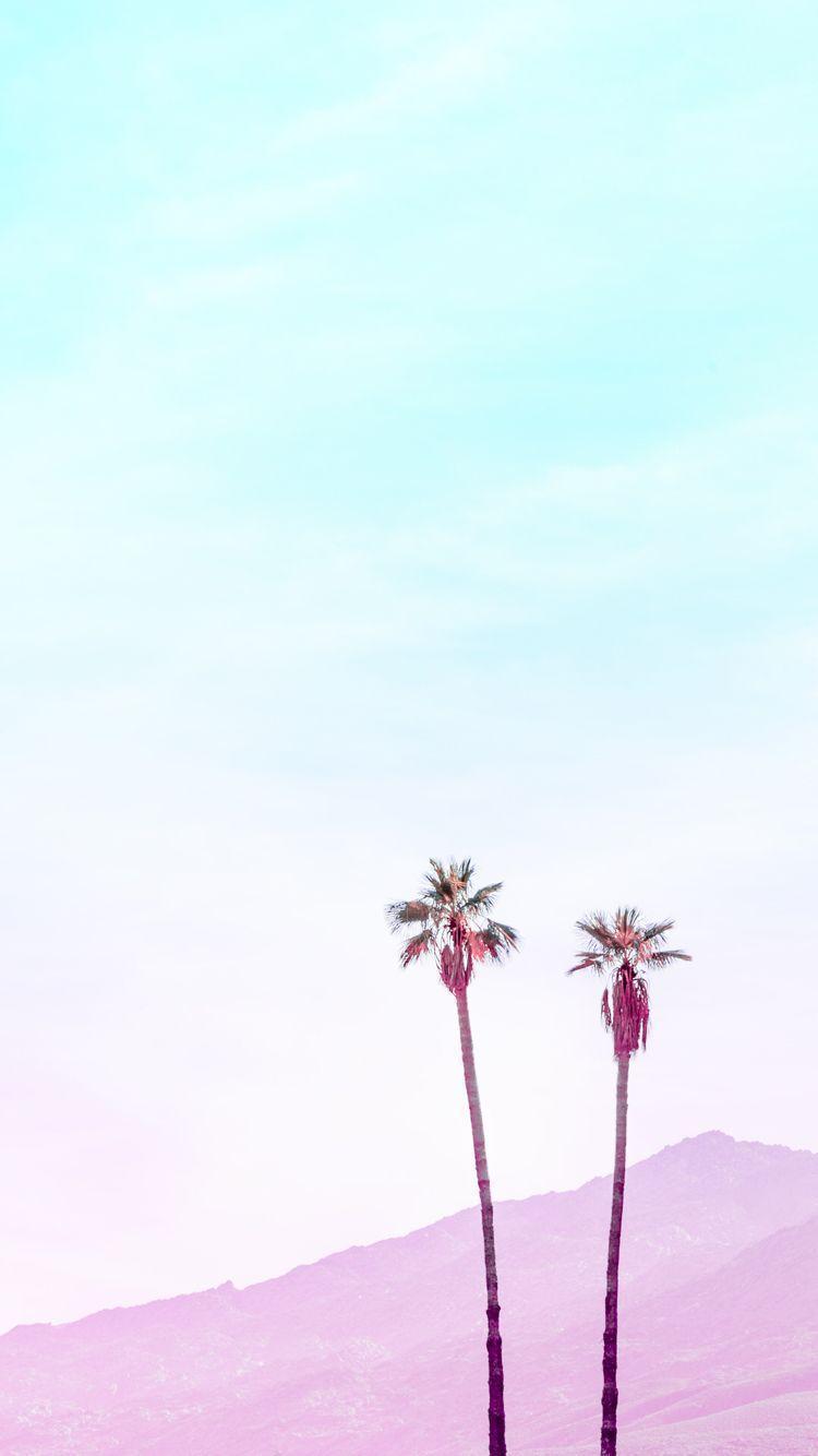Aesthetic Minimalist iPhone Wallpaper White