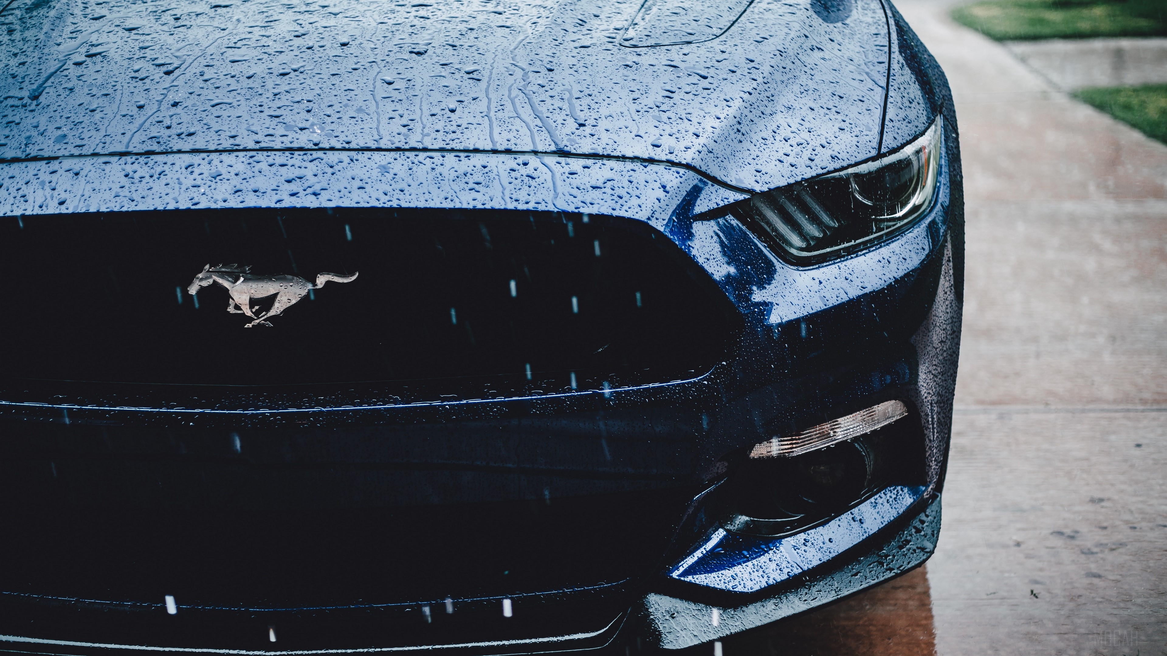 ford mustang HD wallpaper, Background