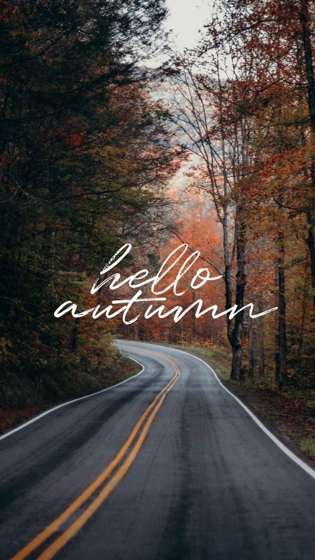 Aesthetic Autumn Background iPhone