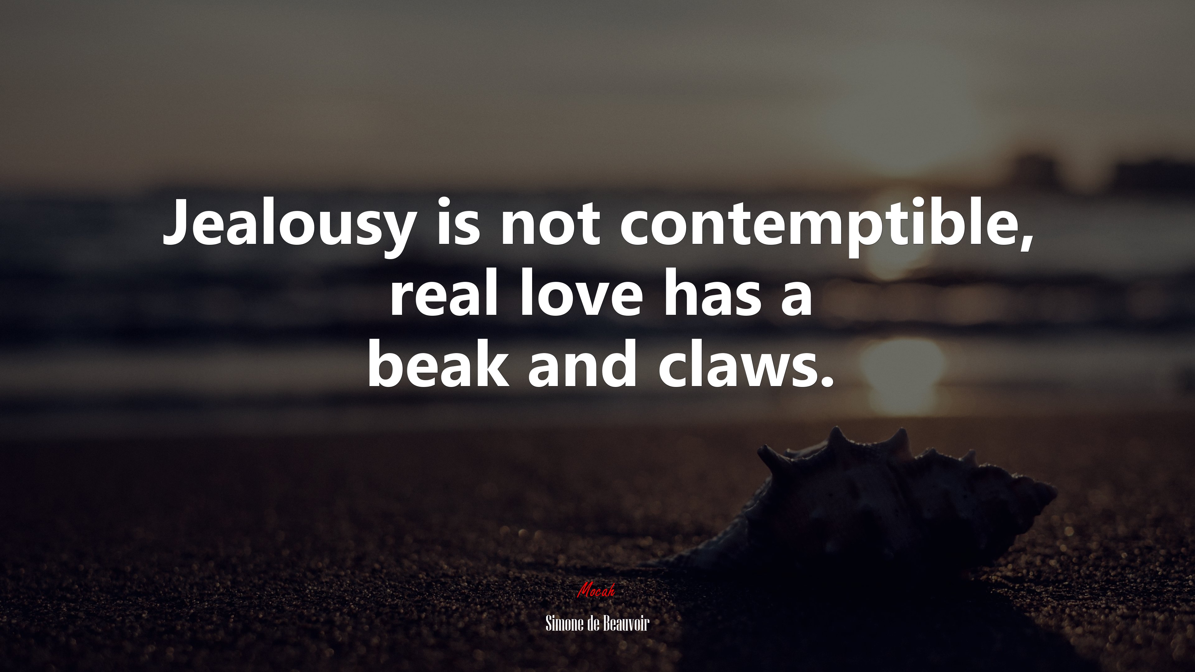 Jealousy is not contemptible, real love has a beak and claws. Simone de Beauvoir quote, 4k wallpaper. Mocah HD Wallpaper