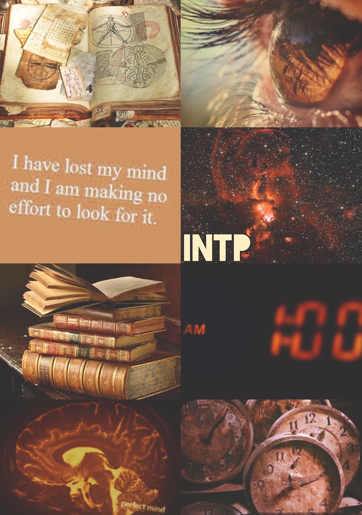 INTP aesthetic. Intp personality, Intp, Intp personality type