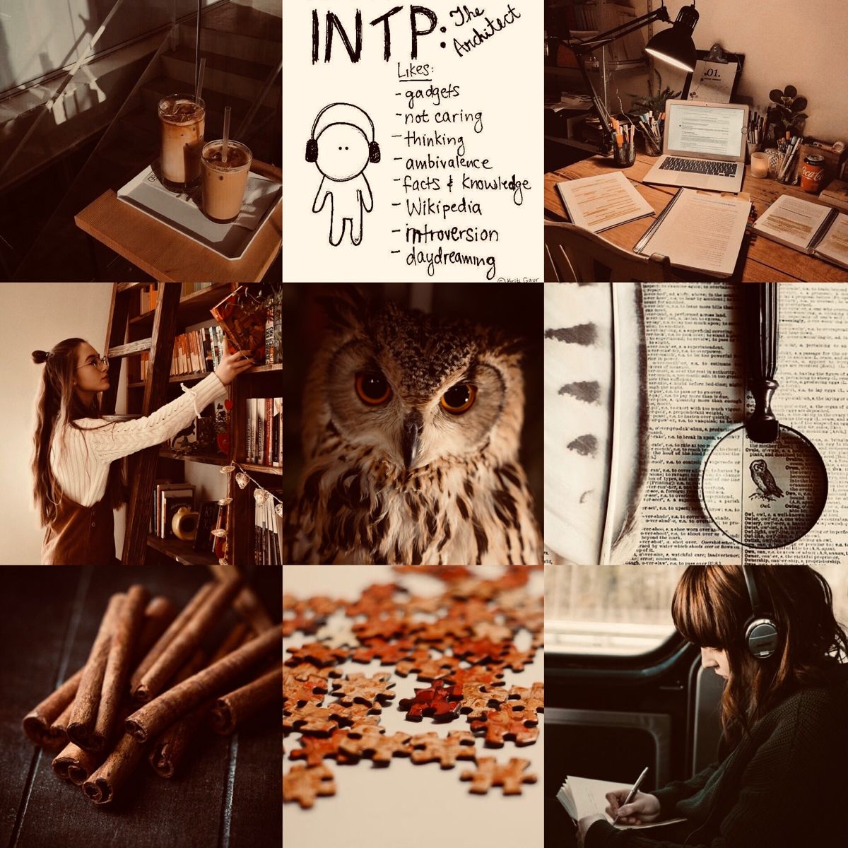 INTP:The Philosopher Aesthetic. Intp, Intp personality type, Intp personality