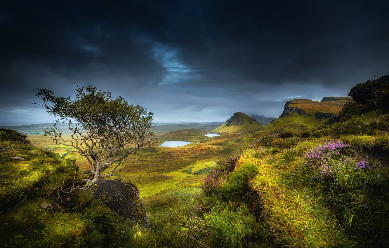 Wallpaper summer, grass, clouds, flowers, mountains, clouds, tree, rocks, hills, valley, Scotland, lake, August, Isle of Skye, region highland image for desktop, section пейзажи