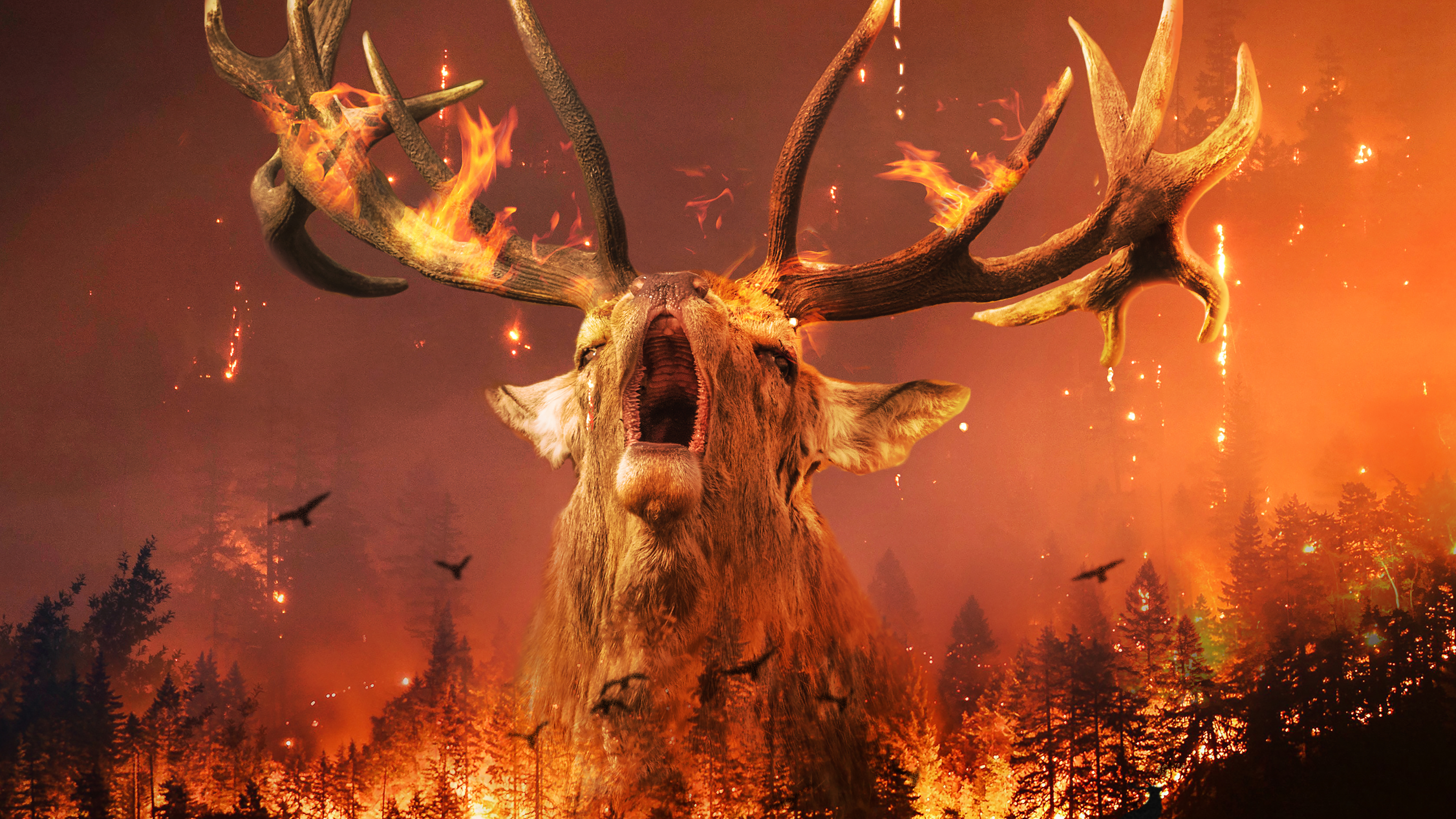 Siberia Wildfire 4K Wallpaper