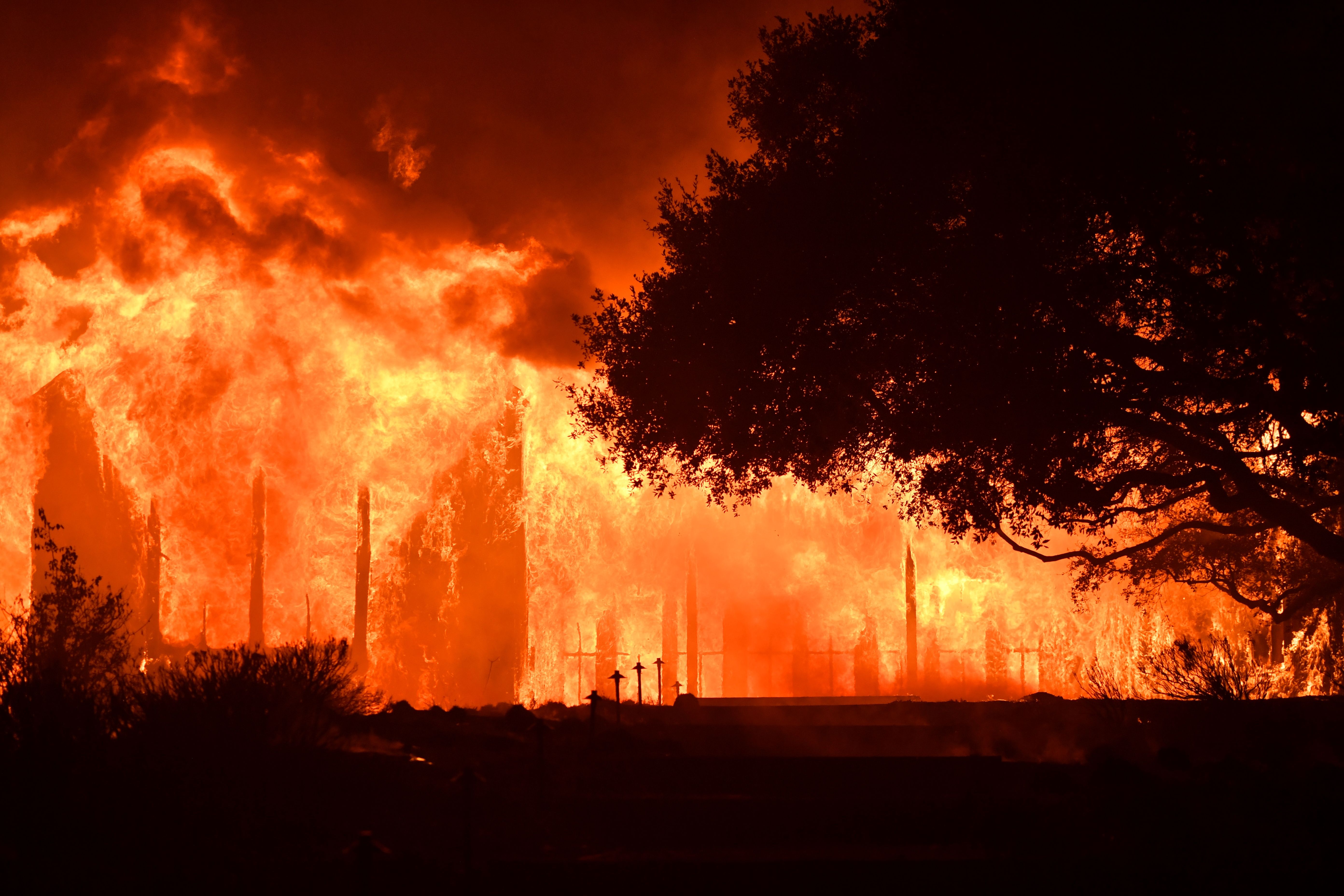 California Wildfires Kill At Least 40