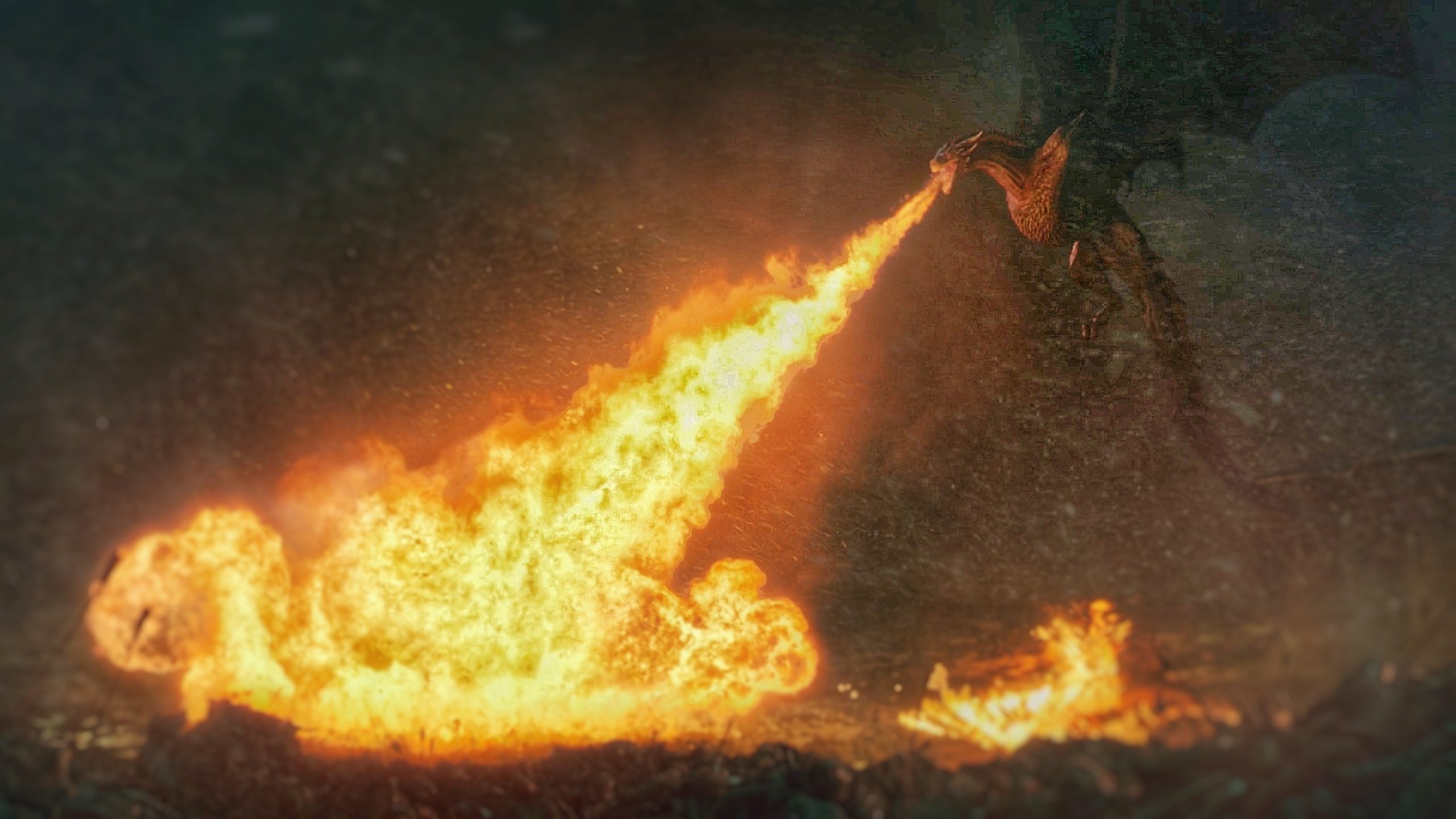 Dracarys 4K wallpaper for your desktop or mobile screen free and easy to download