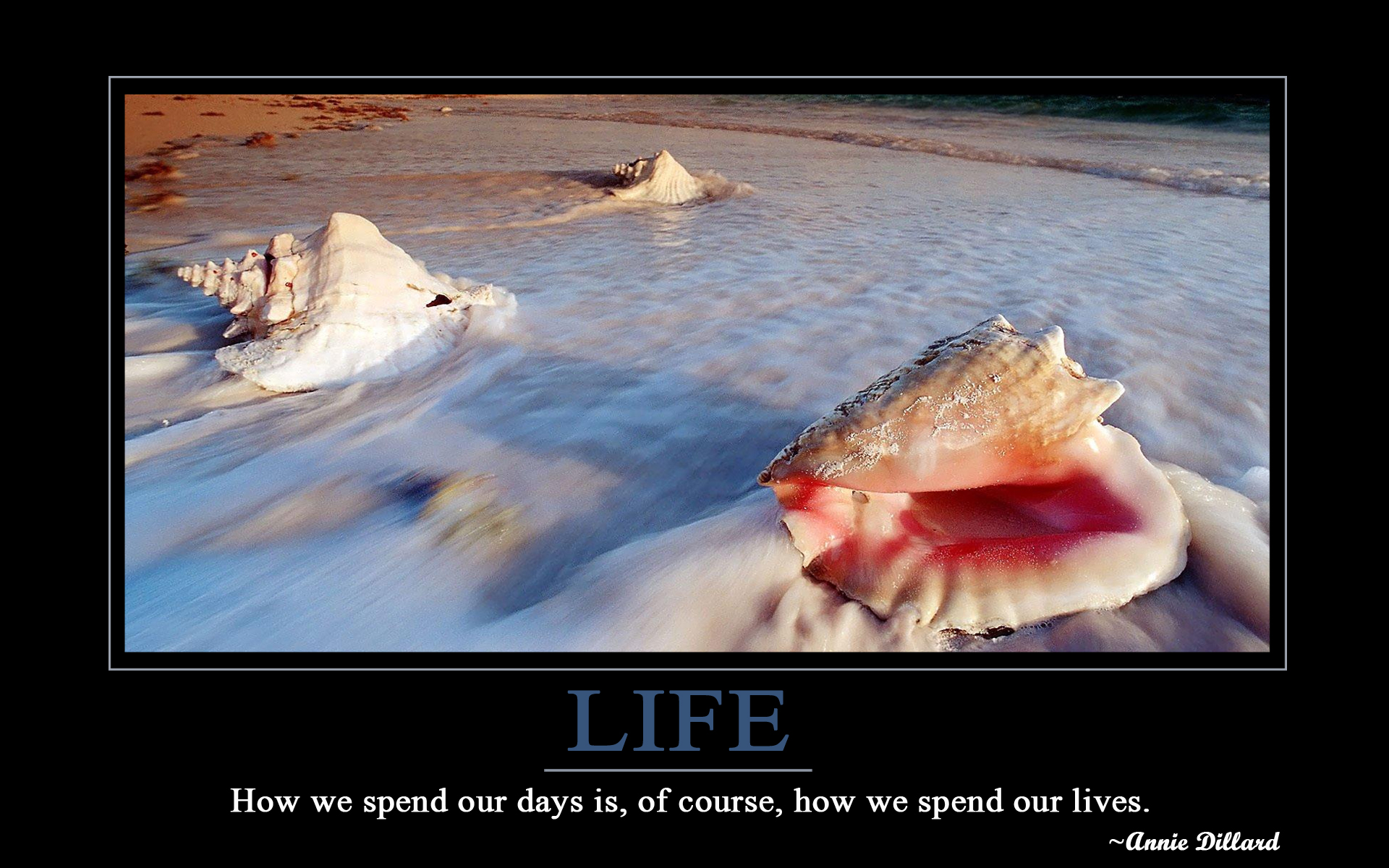 Motivational Wallpaper Setting Guide