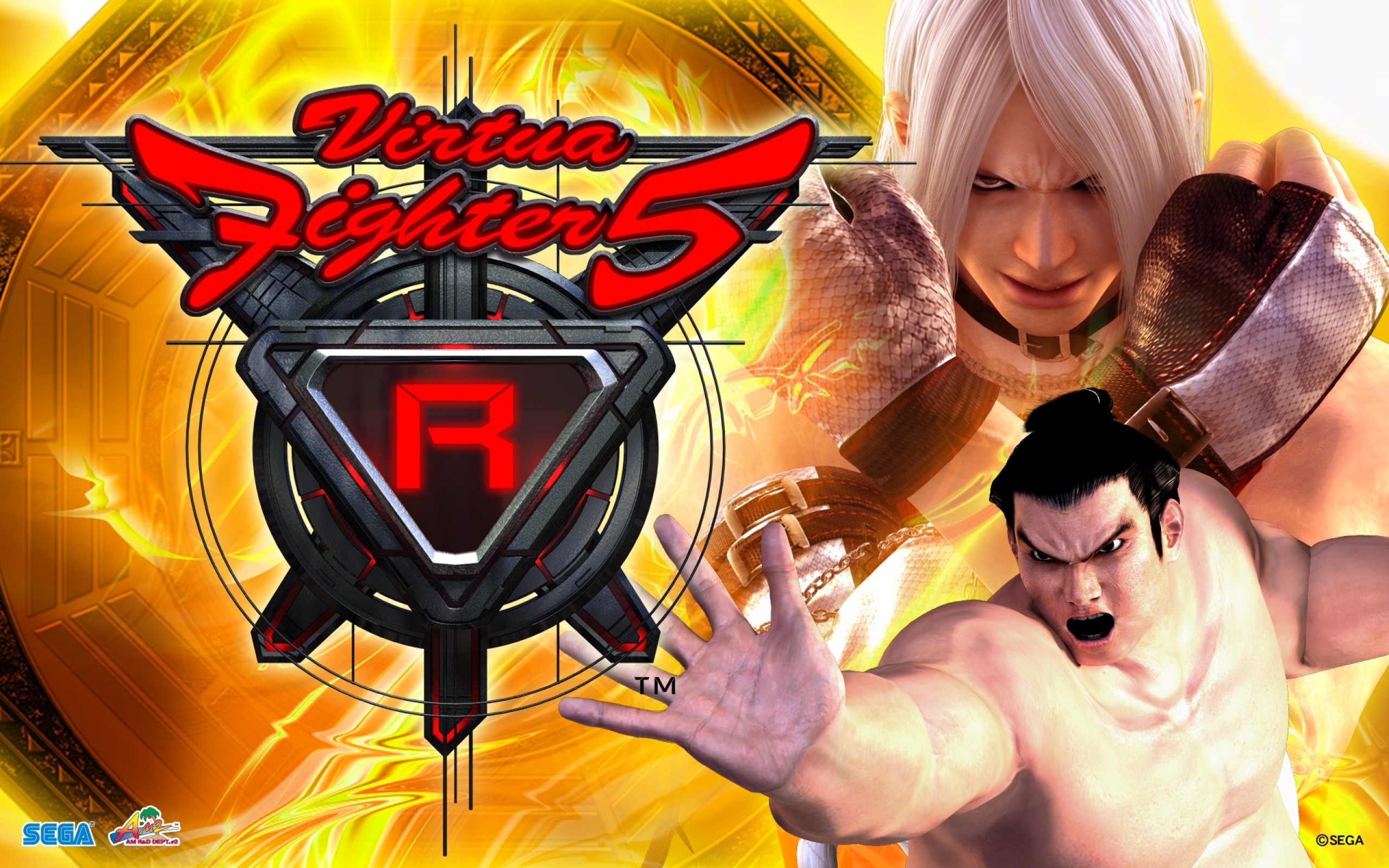 Virtua Fighter 5 R wallpaper. Virtua Fighter 5 R