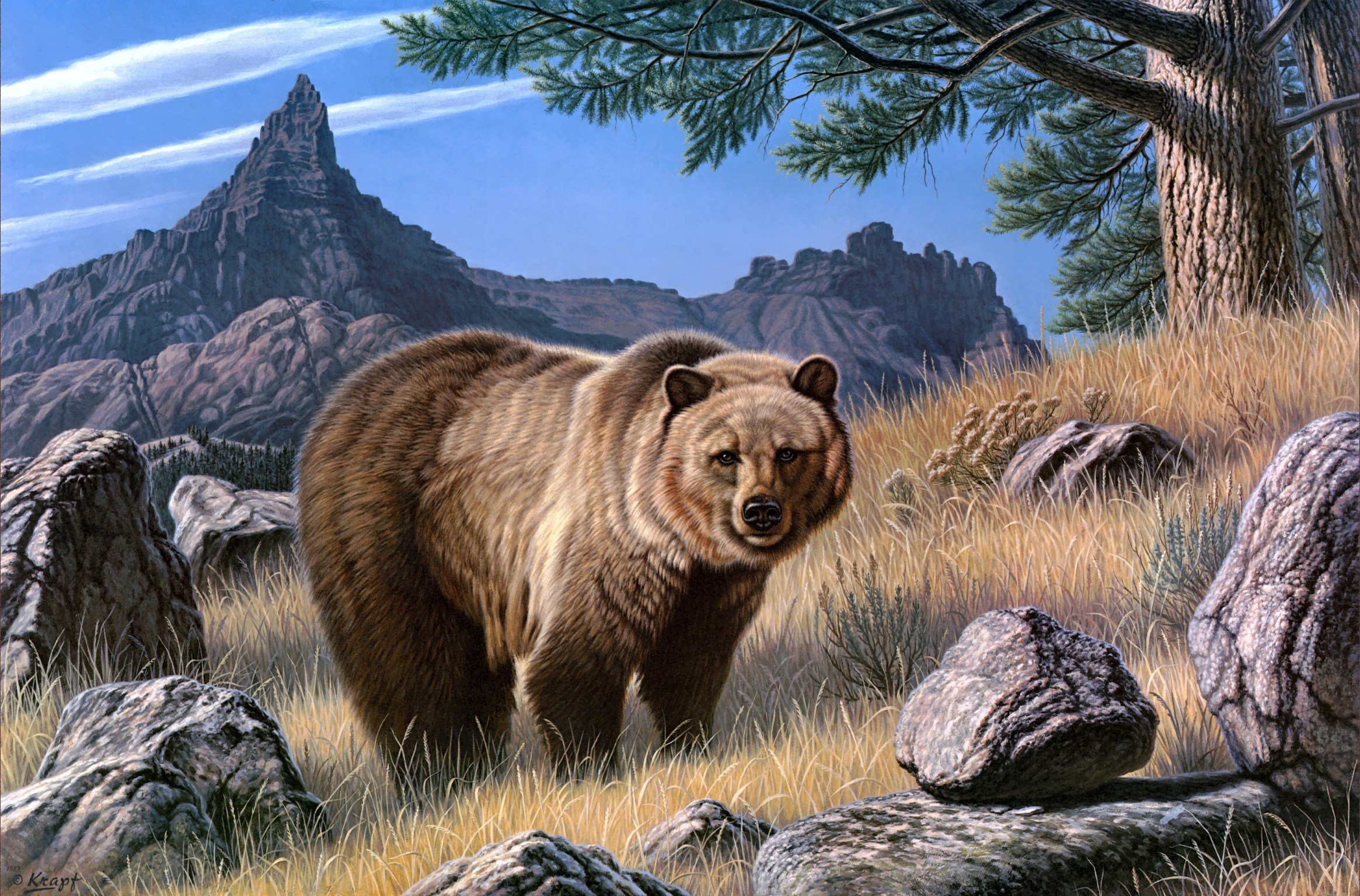Bears Brown Painting Art Animals bear wallpaperx1535