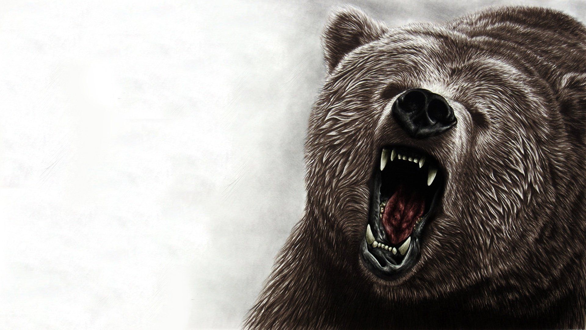 HD Bear Wallpaper 1920×1200 Bear Wallpaper (53 Wallpaper). Adorable Wallpaper. Bear wallpaper, Bear art, Animal wallpaper