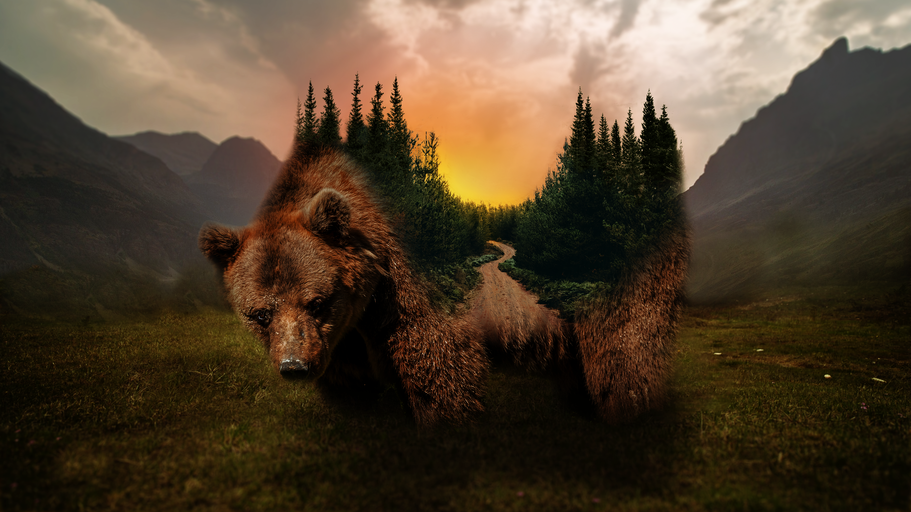 Grizzly Bear Forest Sunset Nature Digital Art Wallpaper:3840x2160