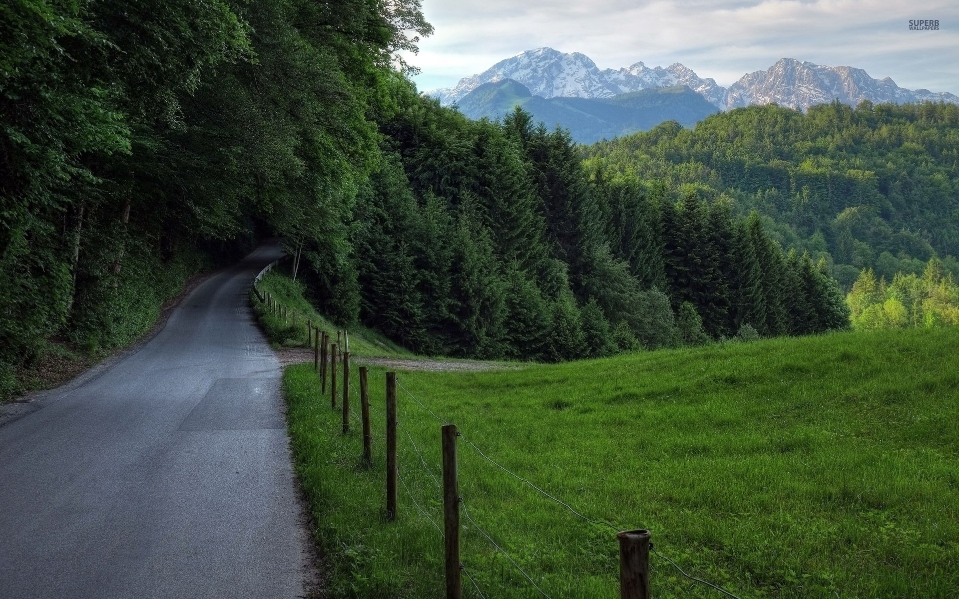 Forest Road Fences Mountains wallpaper. Forest Road Fences Mountains