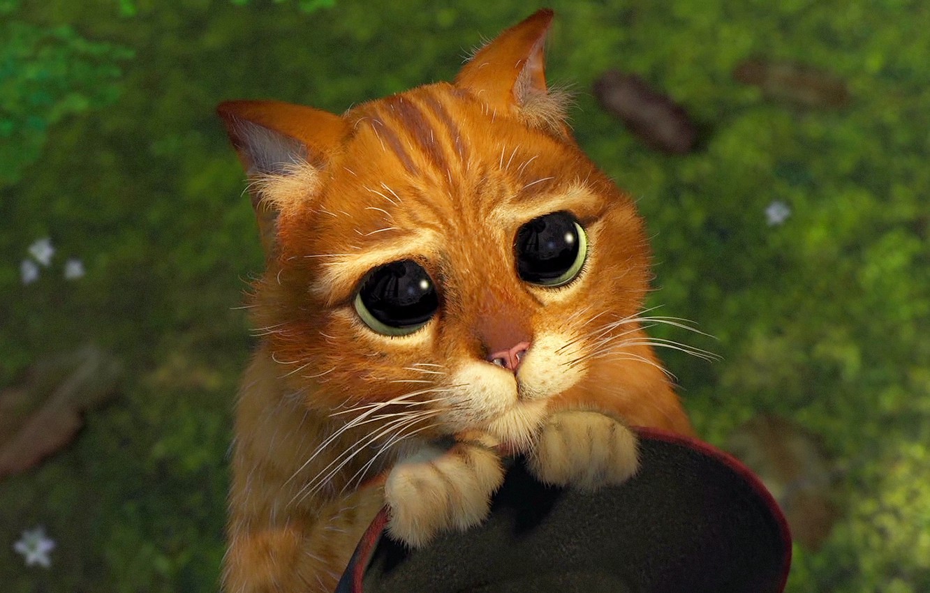 Wallpaper cat, Shrek, pity, cartoon image for desktop, section фильмы