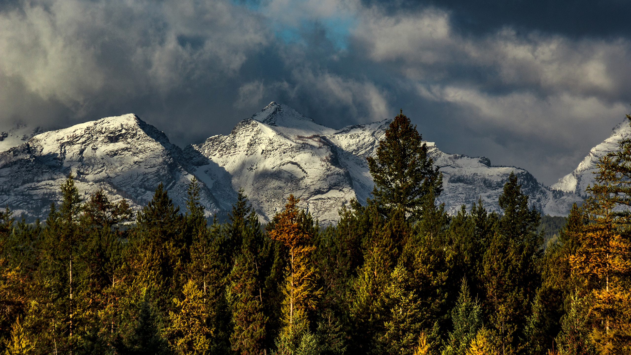 Picture USA Mission Mountains Montana Nature Autumn 2560x1440