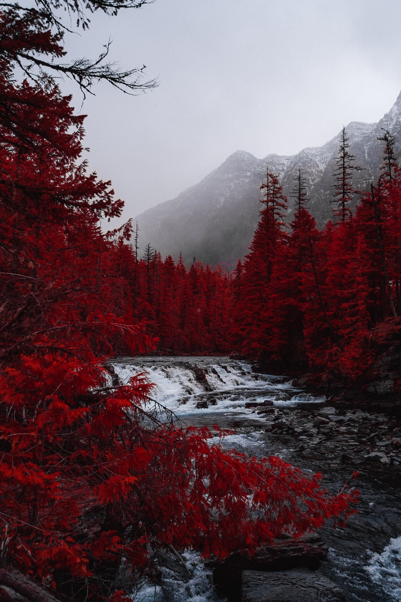 Wallpaper River, Trees, Red, Mountains, Fog, Landscape Glacier Mt Usa