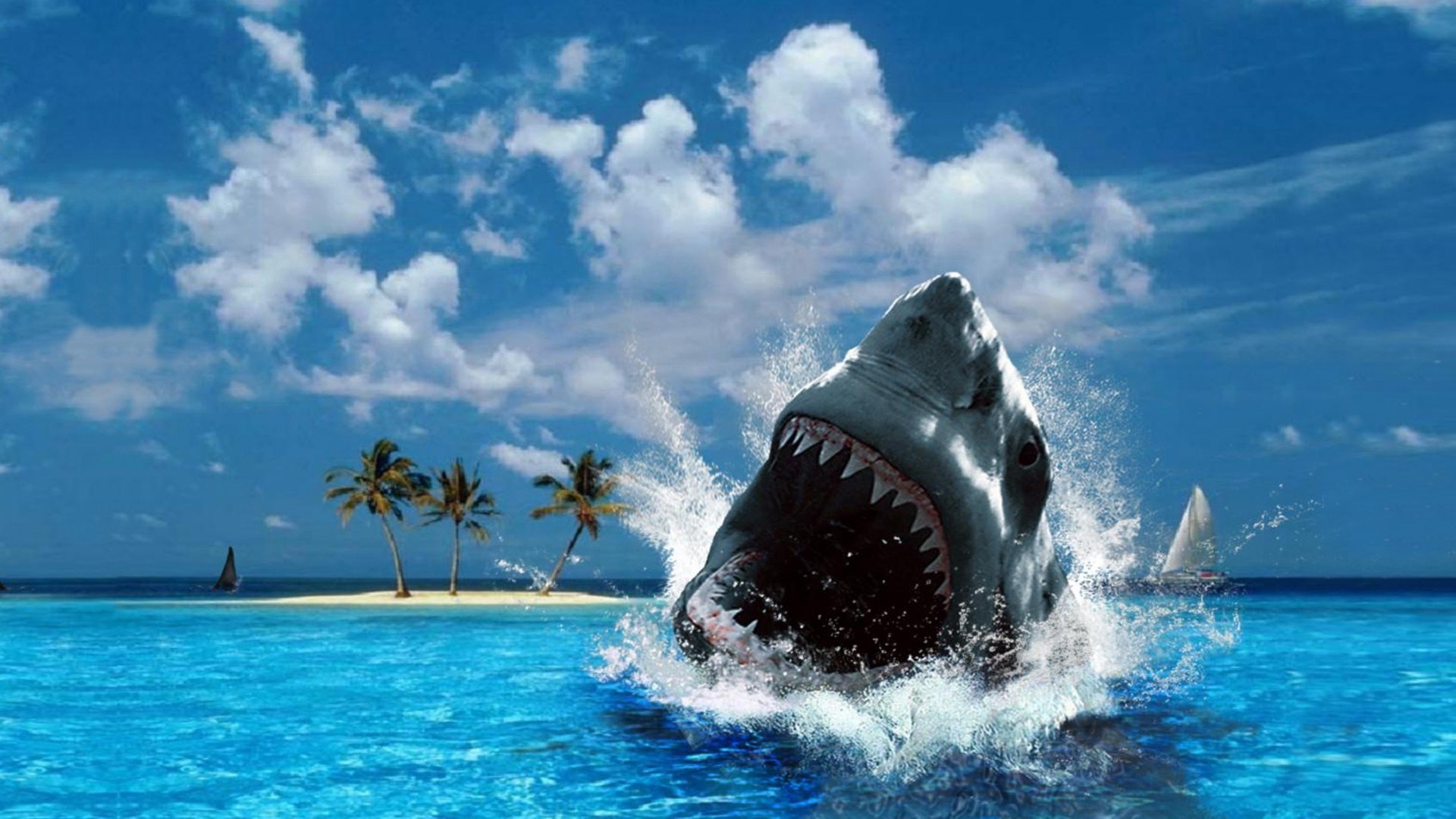 shark pc background HD free HD wallpaper, Background