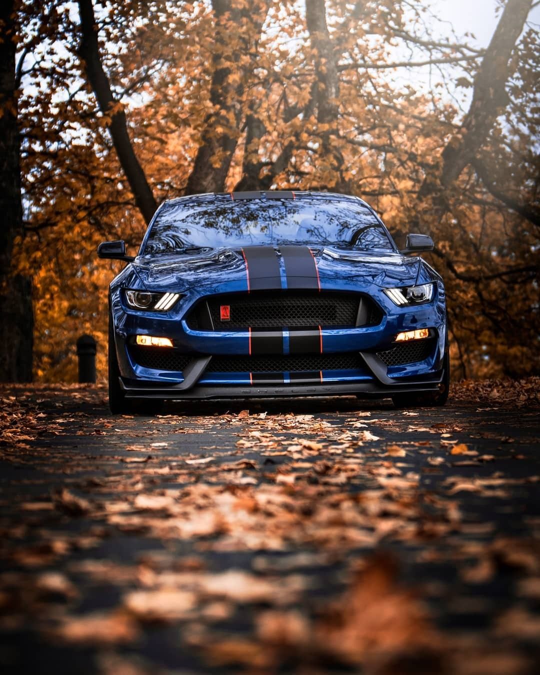 Ford Mustang Shelby GT350R Earned Its Stripes