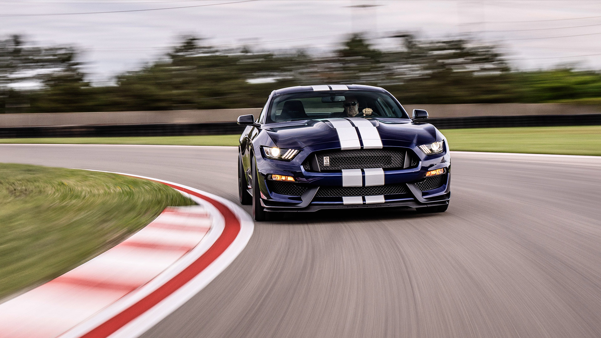 Mustang Shelby Gt350r
