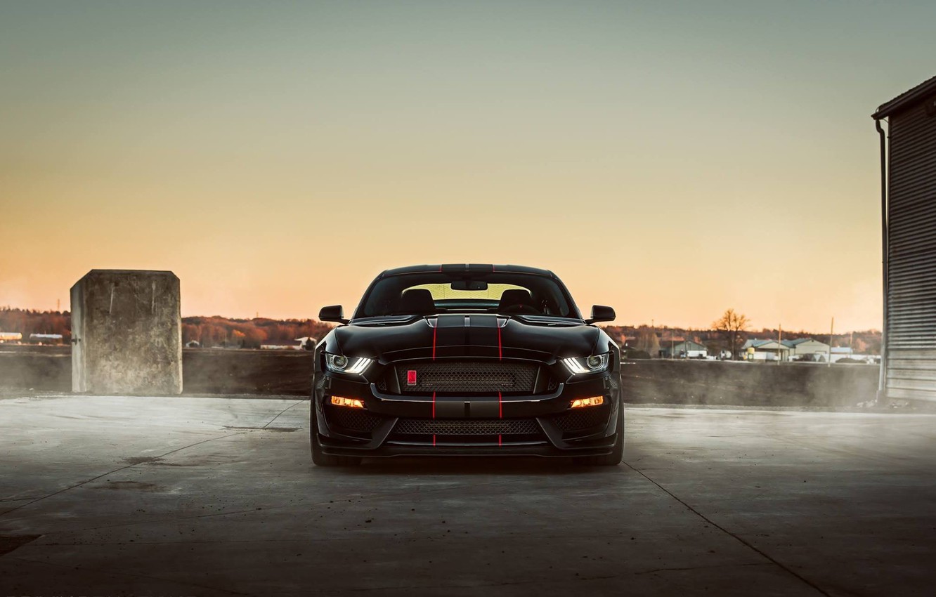 Wallpaper Mustang, Ford, Shelby, Black, Night, GT350r image for desktop, section ford