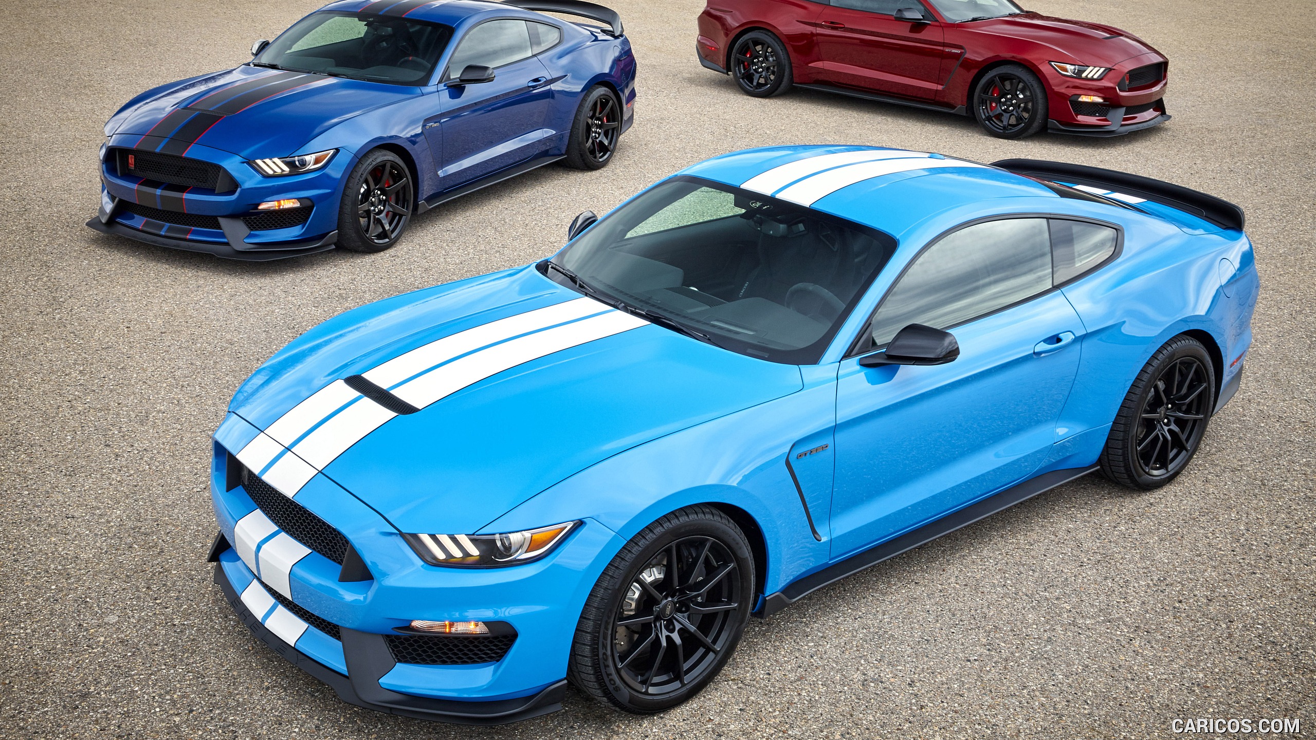 Free download 2017 Ford Mustang Shelby GT350 and GT350R Top HD Wallpaper 3 [2560x1440] for your Desktop, Mobile & Tablet. Explore Ford Shelby GT350 Wallpaper. Ford Shelby GT350 Wallpaper