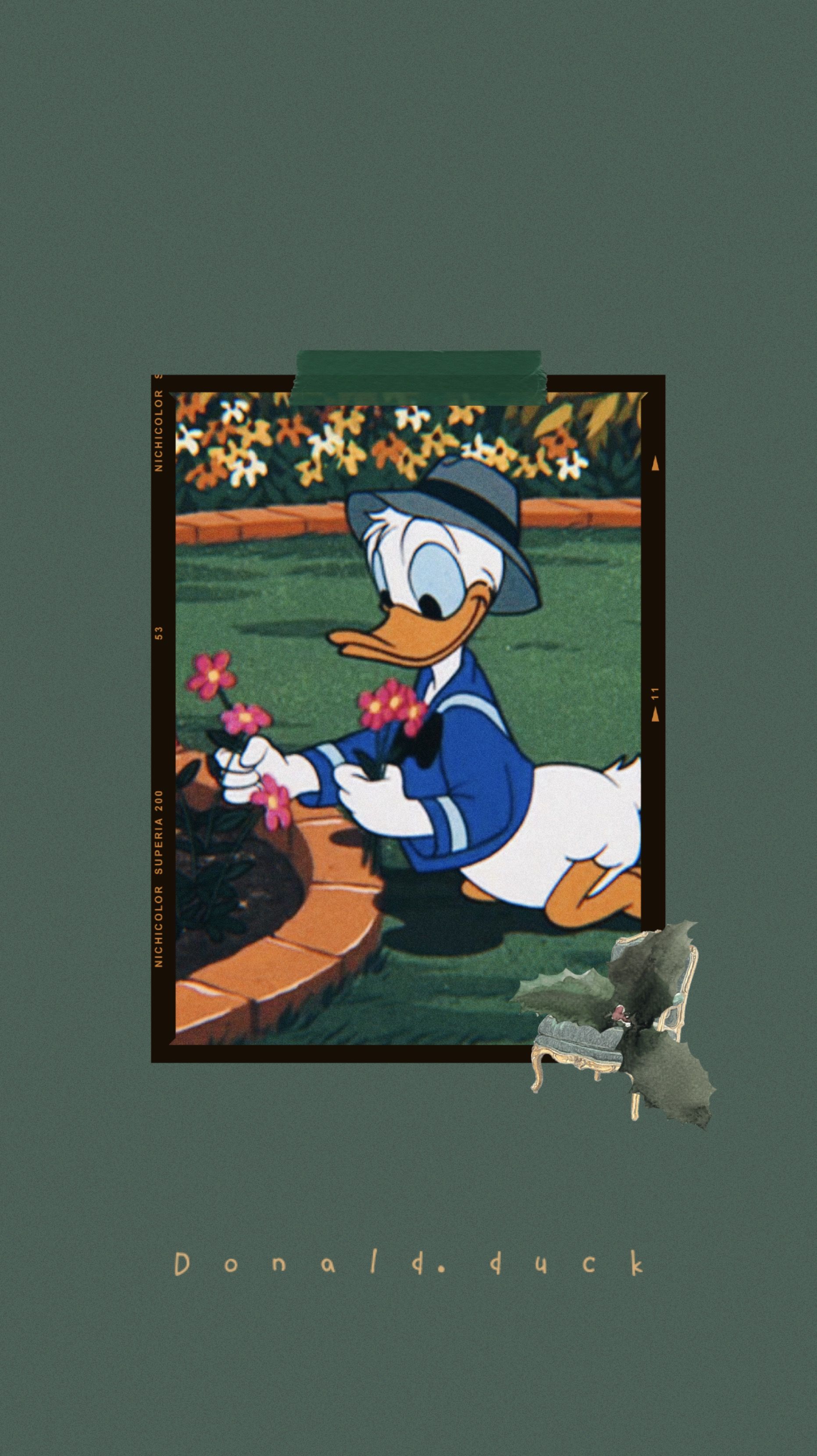 Wallpaper Donald Duck Aesthetic