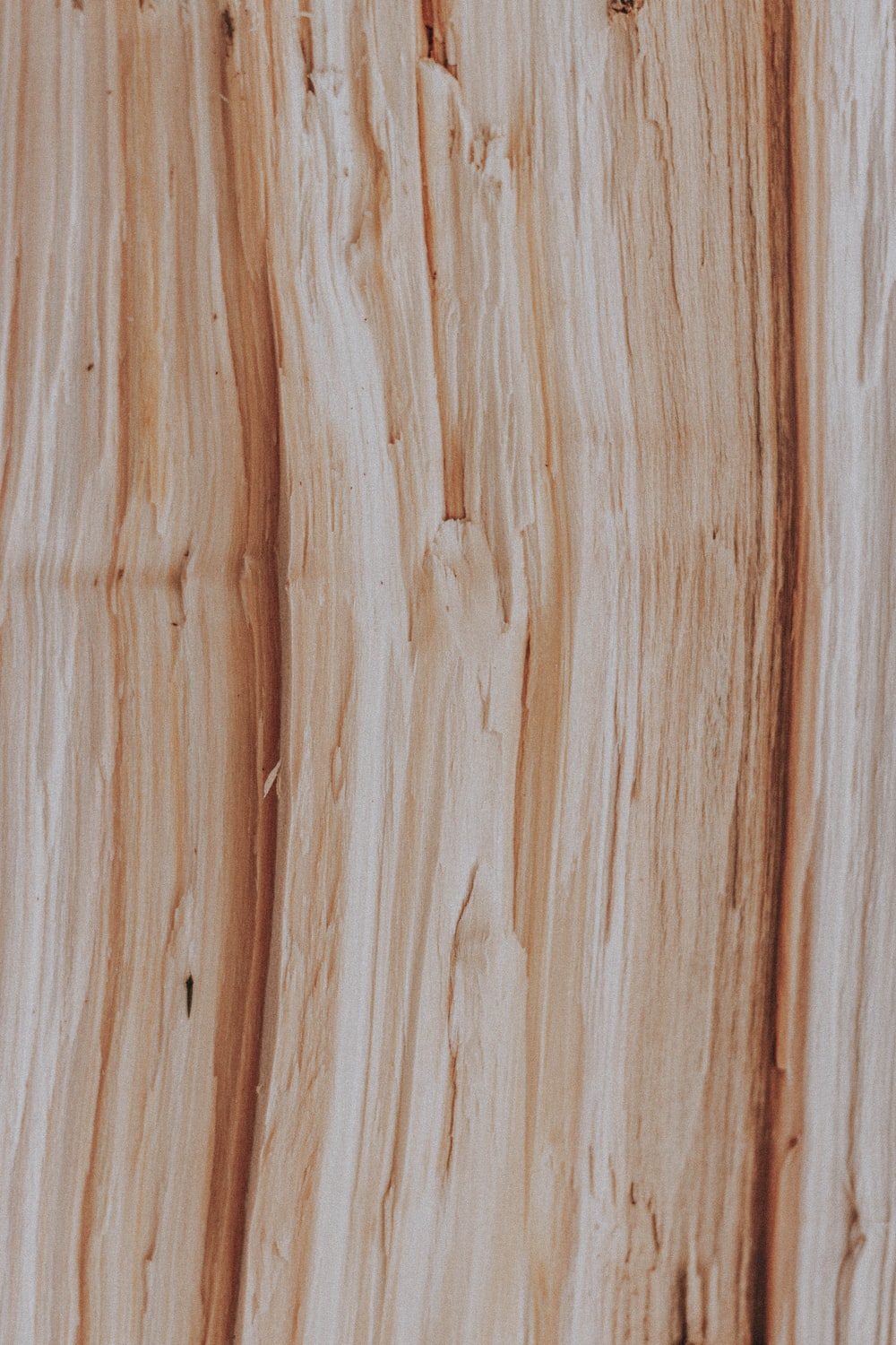 Plywood Picture. Download Free Image