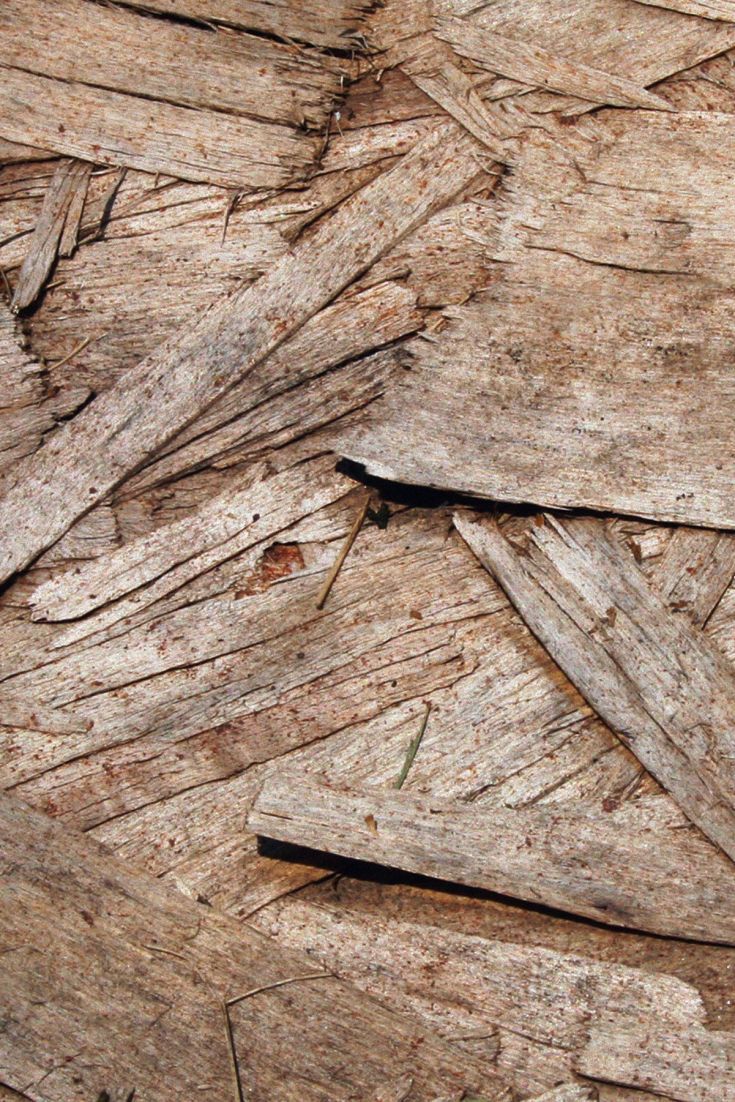 Wood Texture Splinters. Texture, Textures patterns, Plywood texture