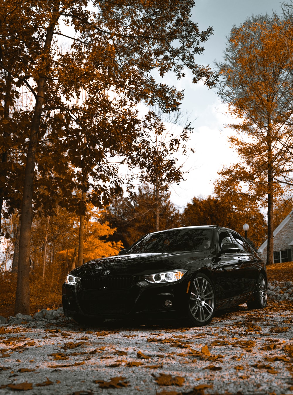 Black BMW 3 Series Sedan Parked Beside Tree Photo