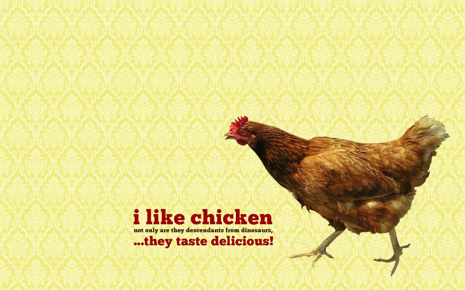 Chicken Wallpaper Free Chicken Background