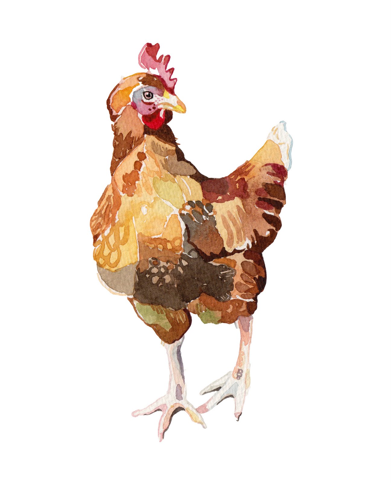 Free download Chicken Little Funny HD Wide Wallpaper for Widescreen Wallpoop The [1295x1600] for your Desktop, Mobile & Tablet. Explore Funny Chicken Wallpaper. Funny Chicken Wallpaper, Chicken Wallpaper, Chicken Girls Wallpaper