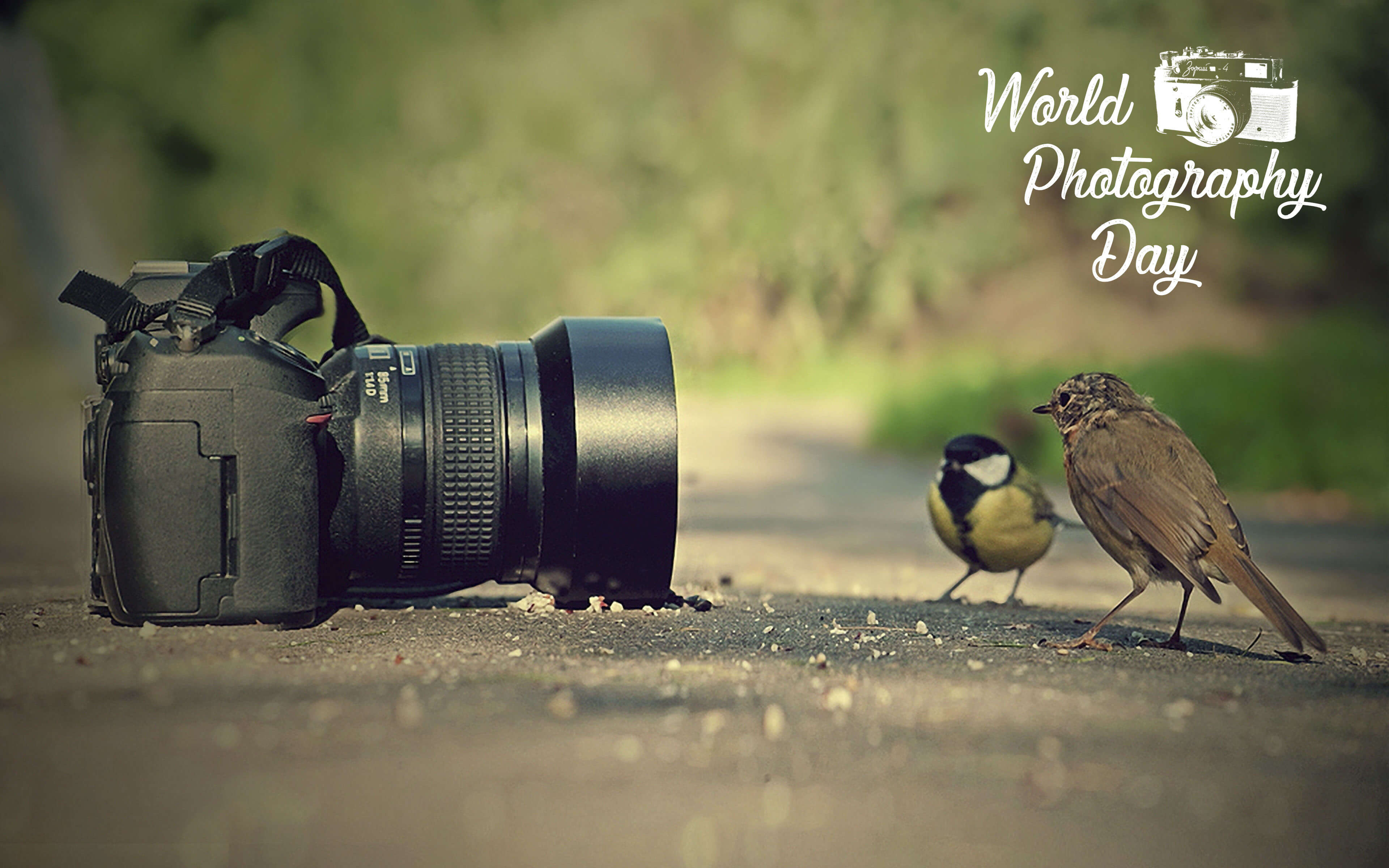 World Photography Day Wallpaper