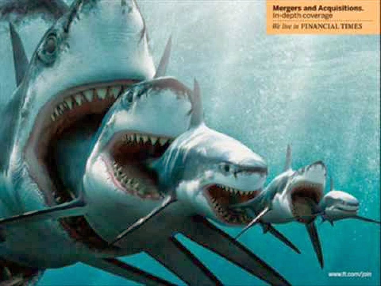 Megalodon Wallpaper Free Megalodon Background