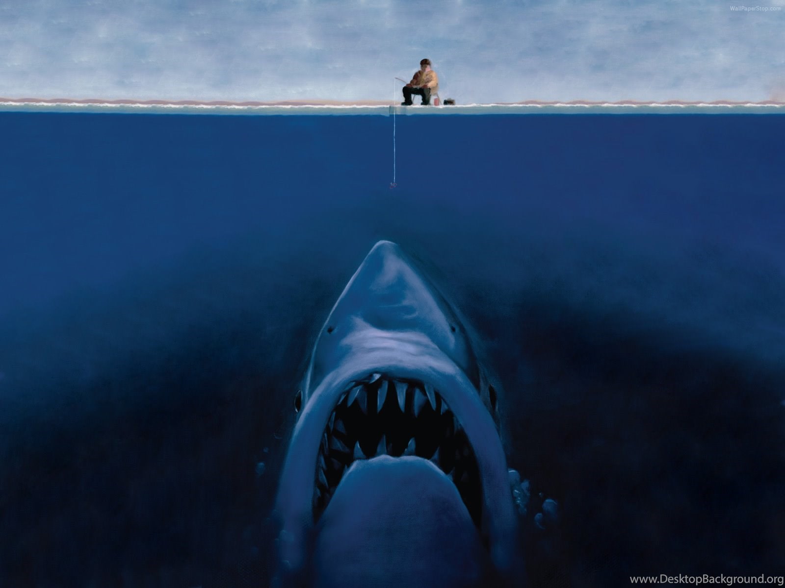 Megalodon Wallpaper HD Uncalke.com Desktop Background