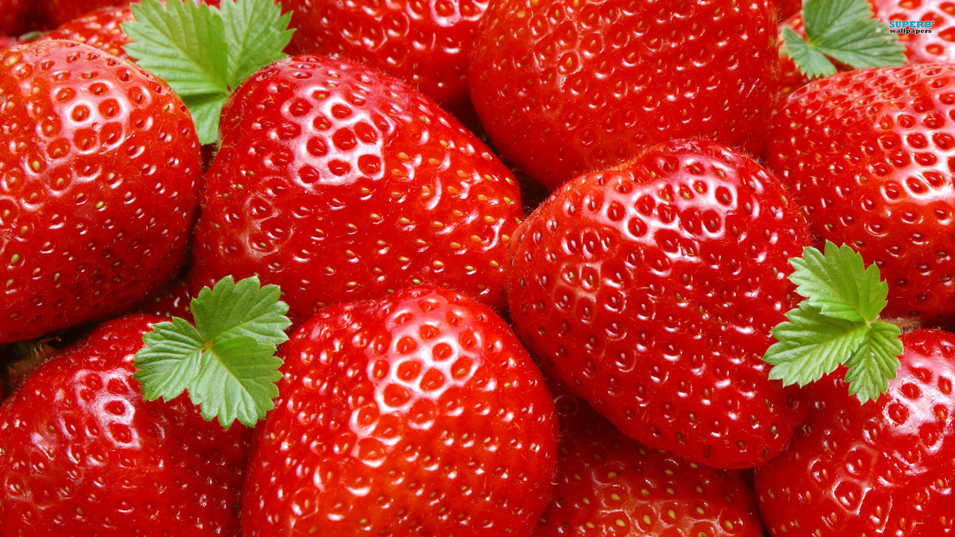 Strawberry Delight HD Wallpaper