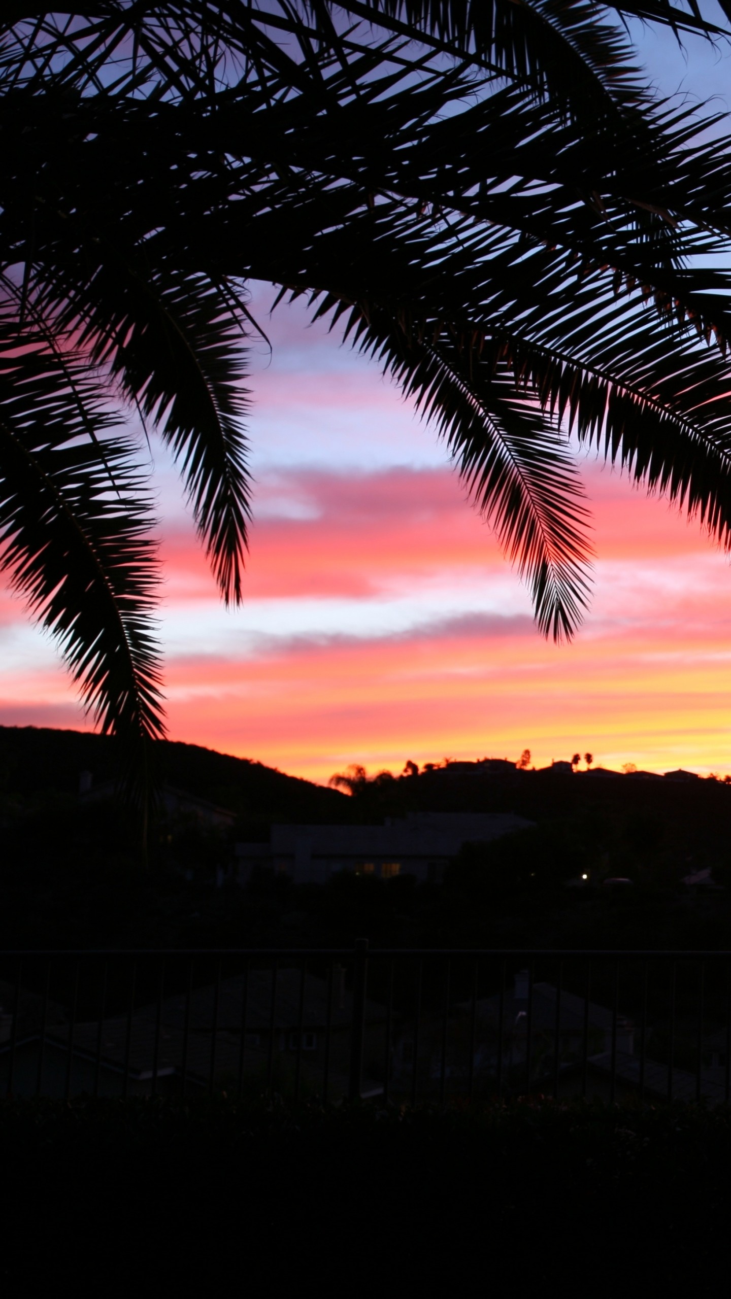 Sunset Retro Palm Tree Wallpaper