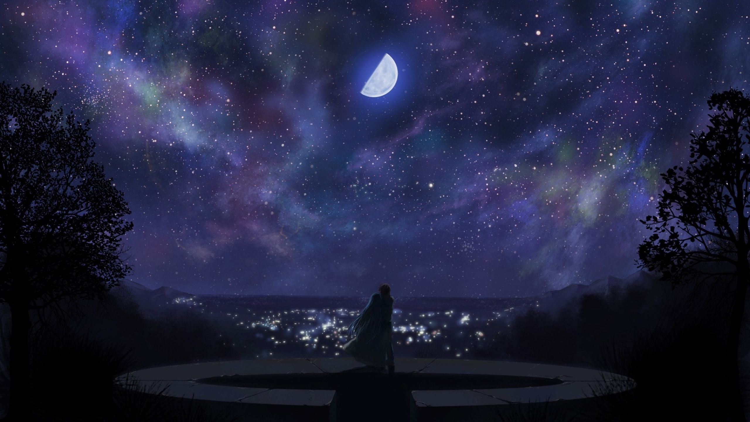 Falling Starry Sky Anime Man Woman Nighttime Anime Girl HD wallpaper   Peakpx