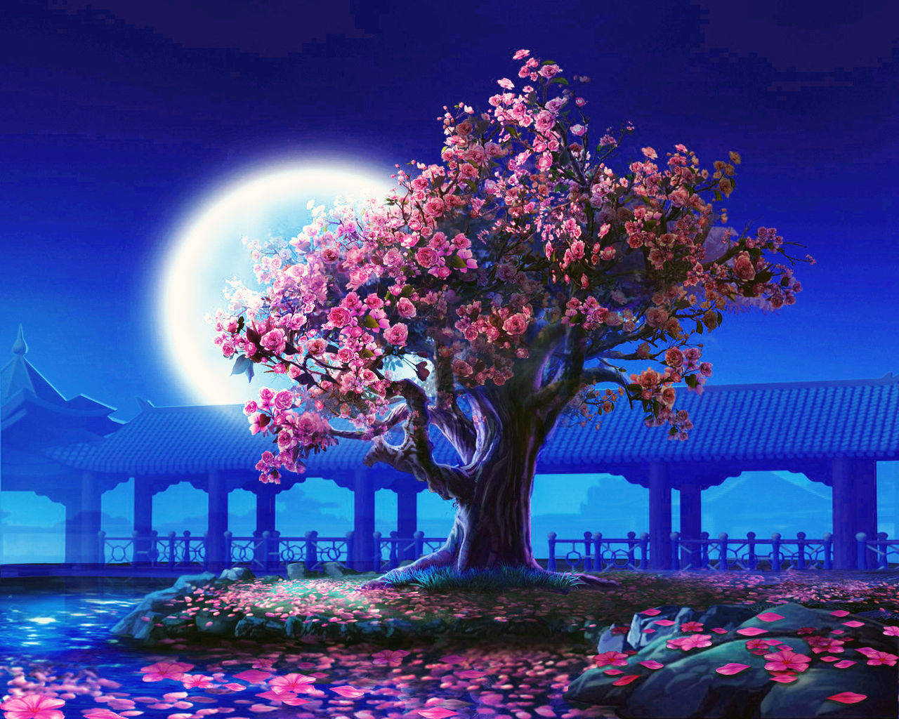 Anime Night Wallpaper Anime Night Cherry Blossom Tree
