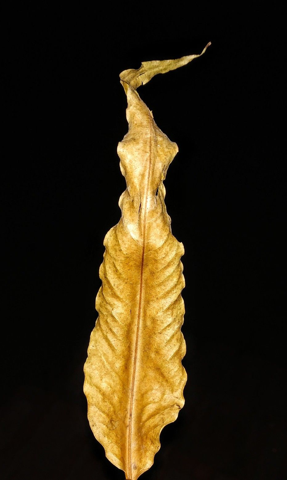 Mi redmi NOTE 5 PRO WALLPAPER. Decorating blogs, Most beautiful wallpaper, Unique farmhouse decor