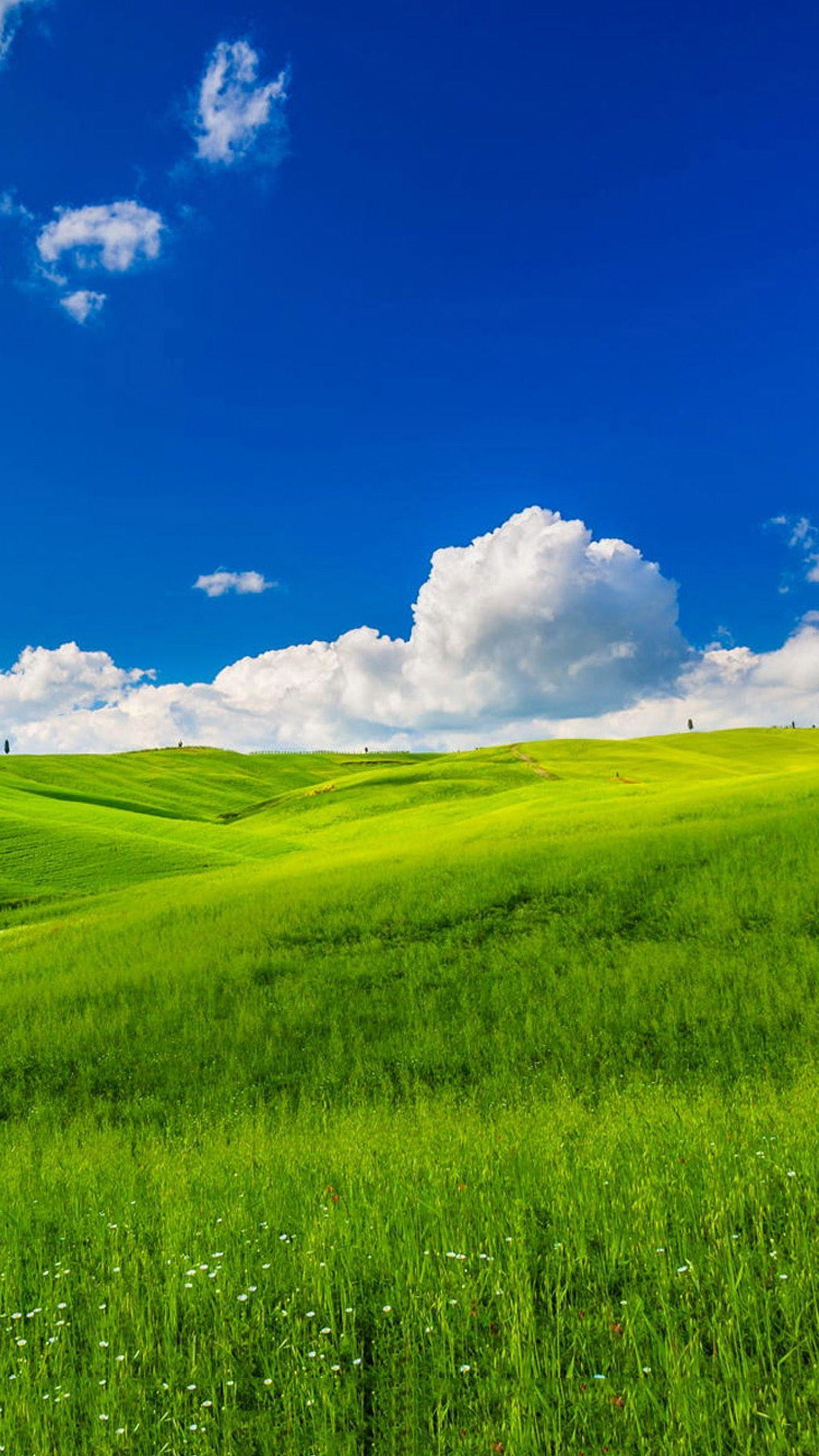 4K wallpaper: 1080p Redmi Note 5 Wallpaper HD