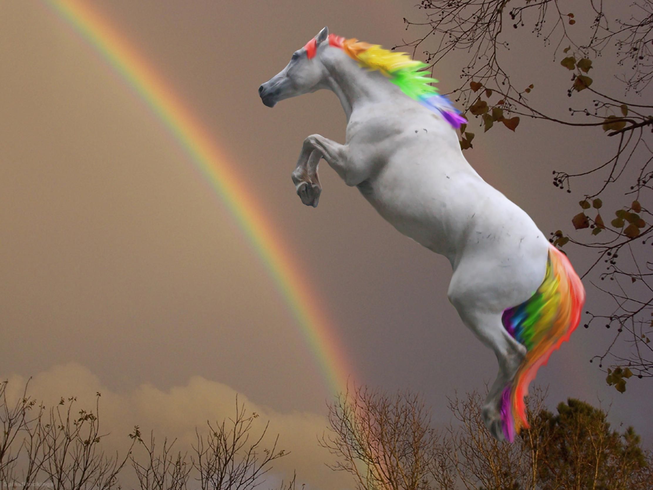 Rainbow Horse >> HD Wallpaper, get it now!. Horse wallpaper, Horses, Horse art print