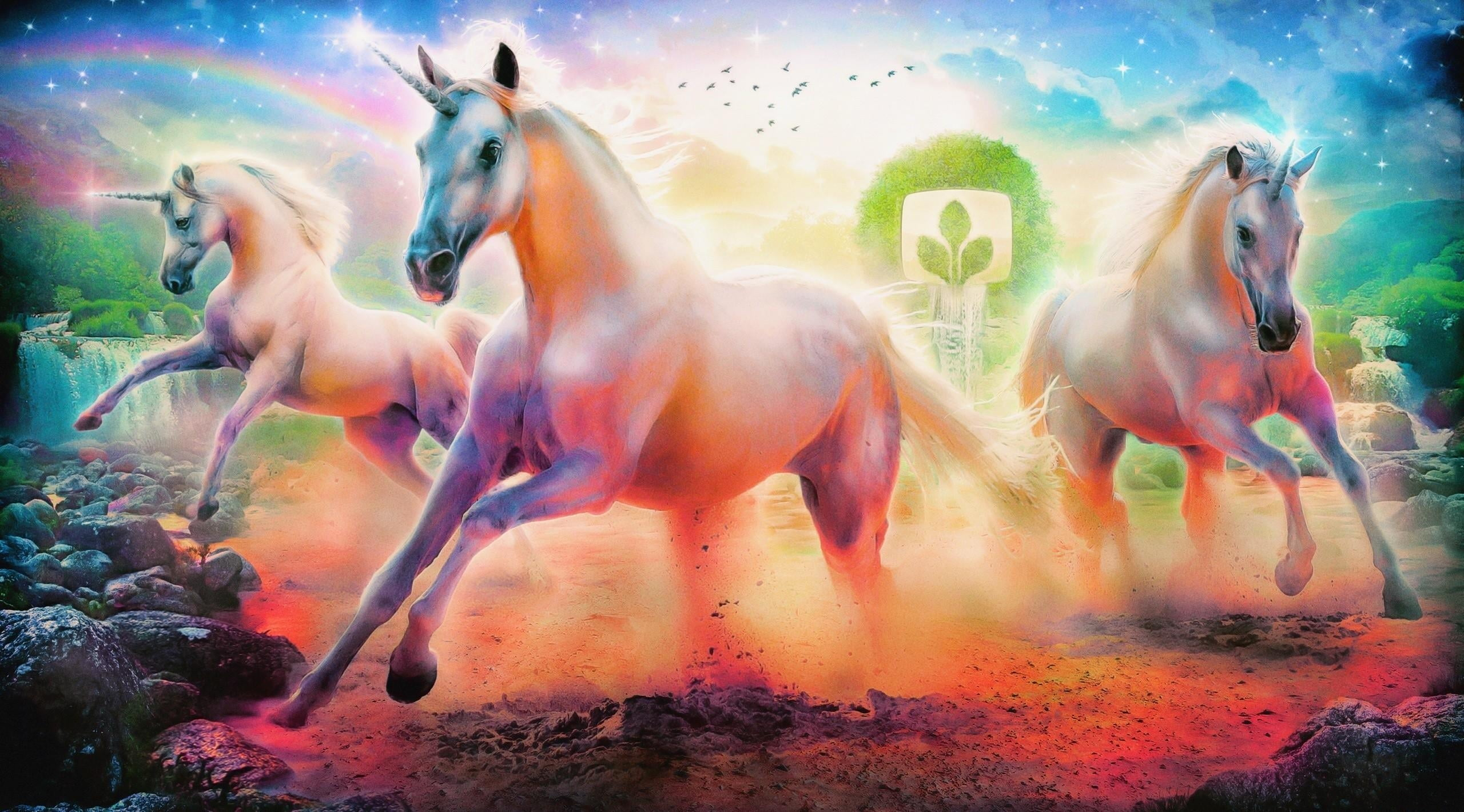 Three white horses illustration, unicorn wallpaper, rainbow, emblem, tree • Wallpaper For You HD Wallpaper For Desktop & Mobile