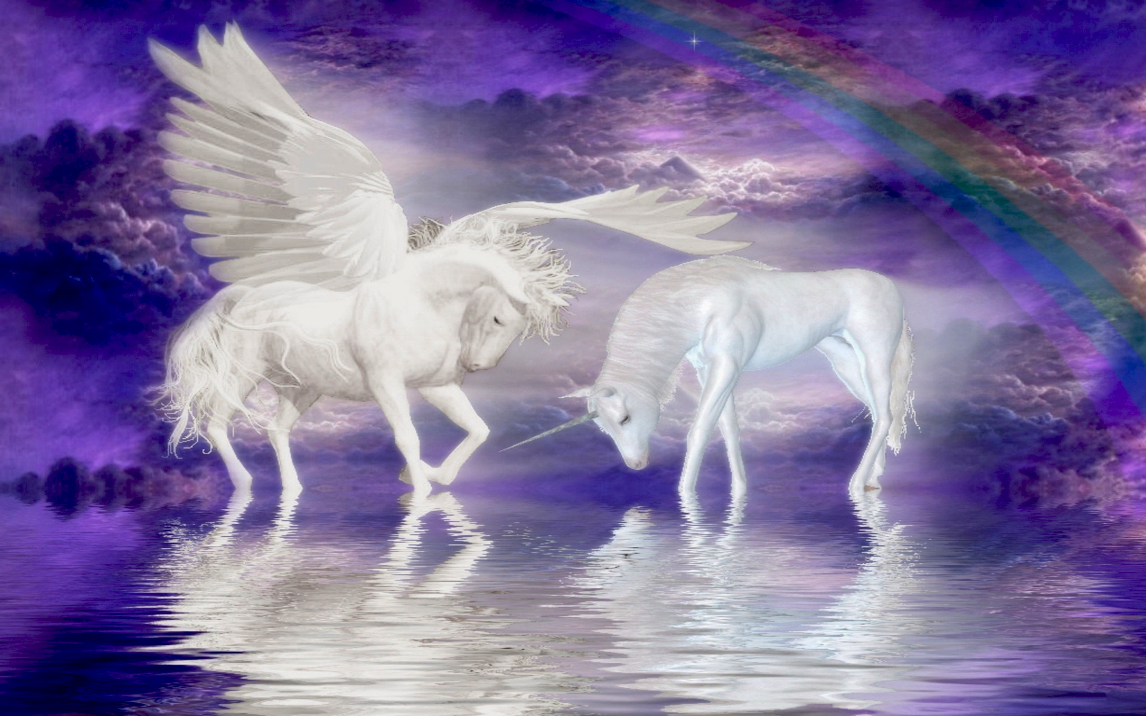 Unicorns Horse Cloud Rainbow Fantasy Wallpaper For Your Computer, Wallpaper13.com