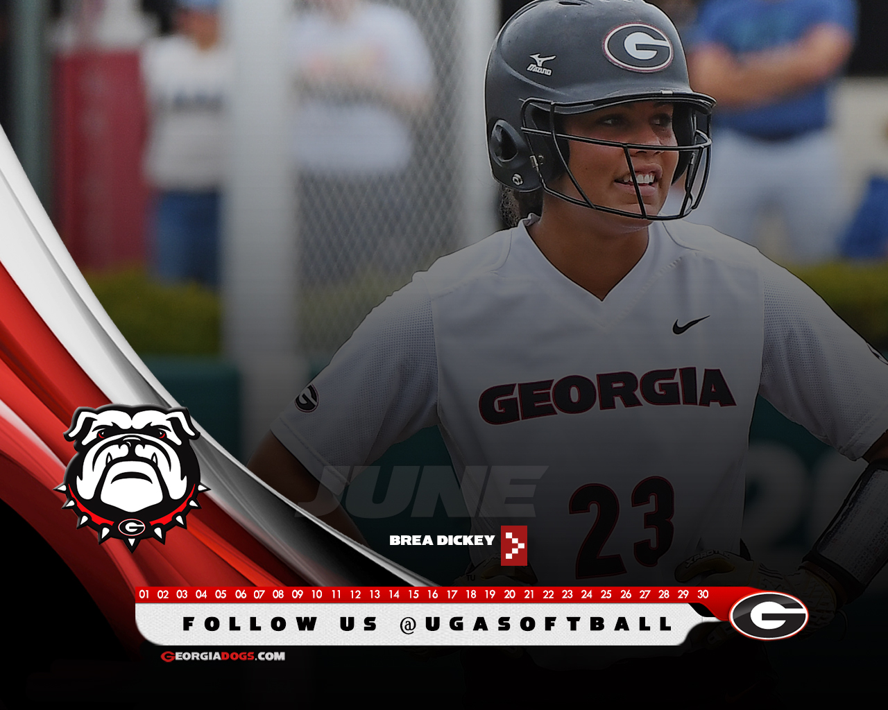 Bulldogs Softball Wallpapers Wallpaper Cave
